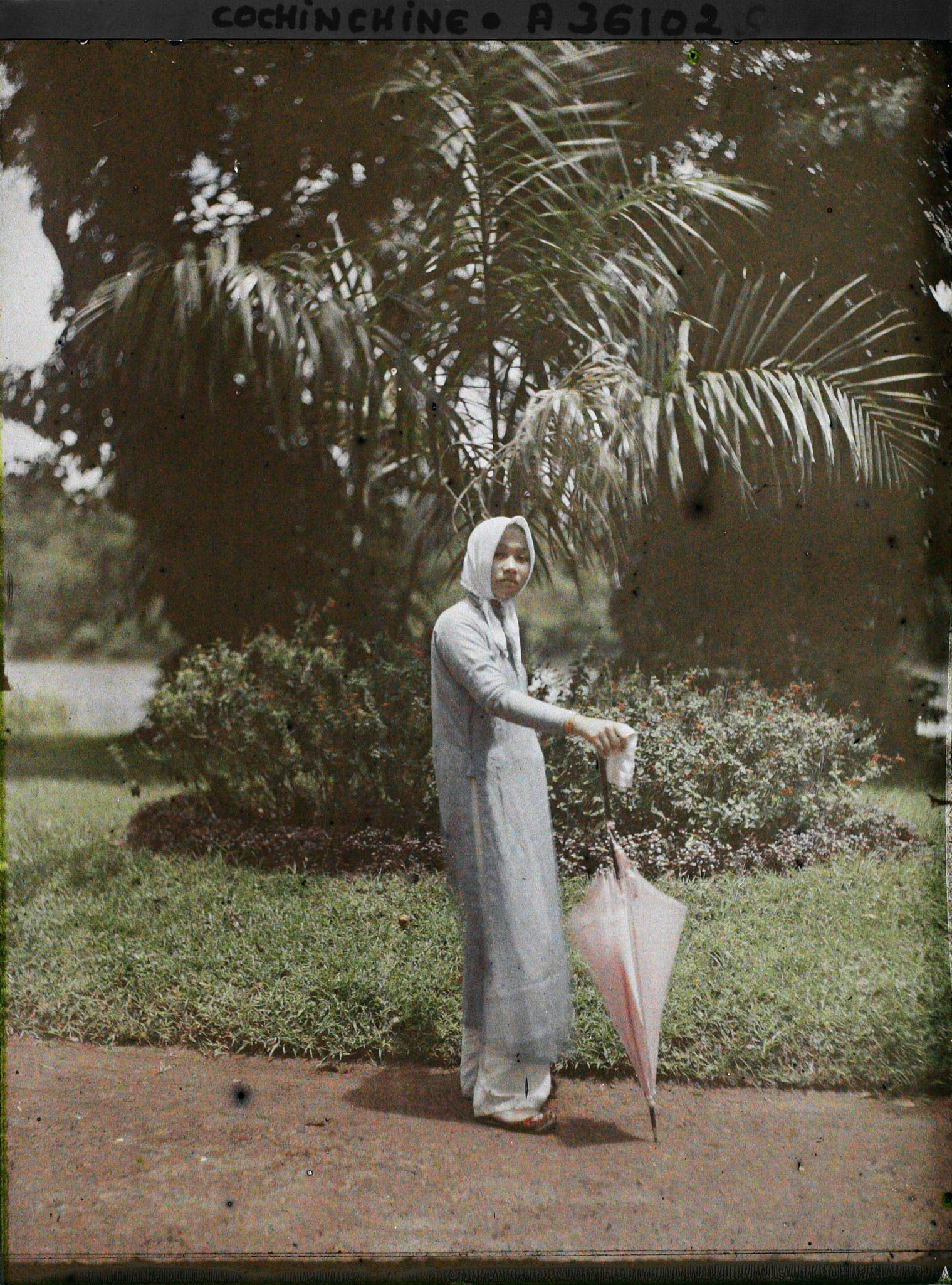 Image représentant Jeune femme dans le jardin botanique