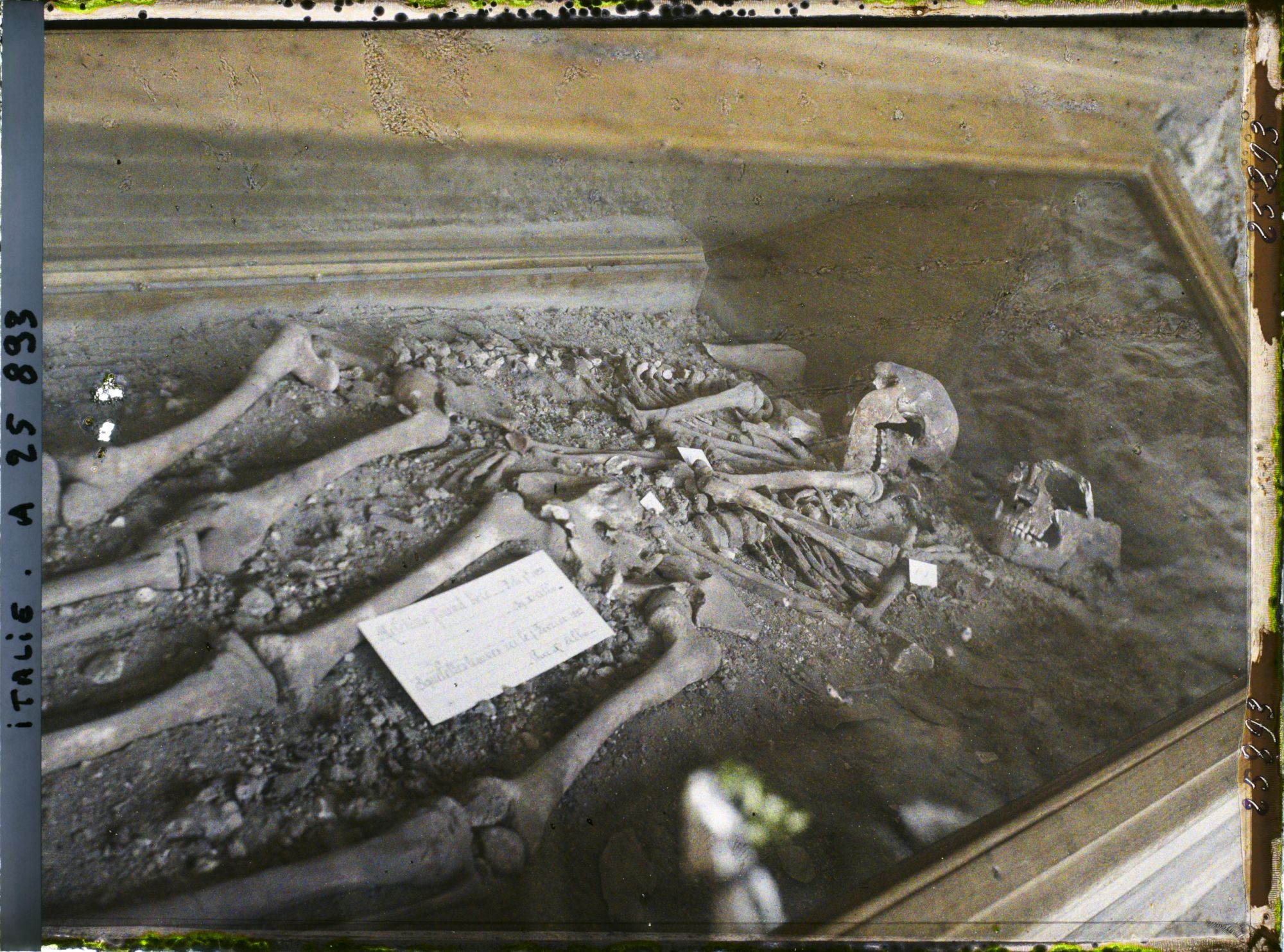 Image représentant Squelettes trouvés grotte Barma Grande