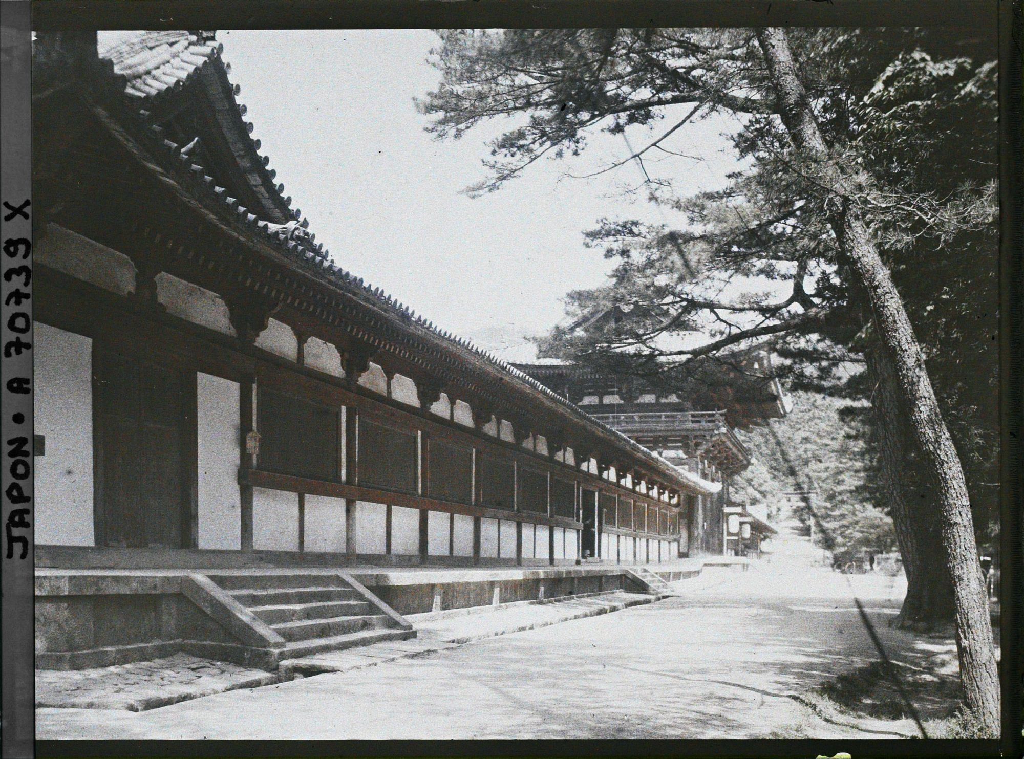Image représentant Temple Tôdai-ji : galerie couverte et entrée sud (chûmon)