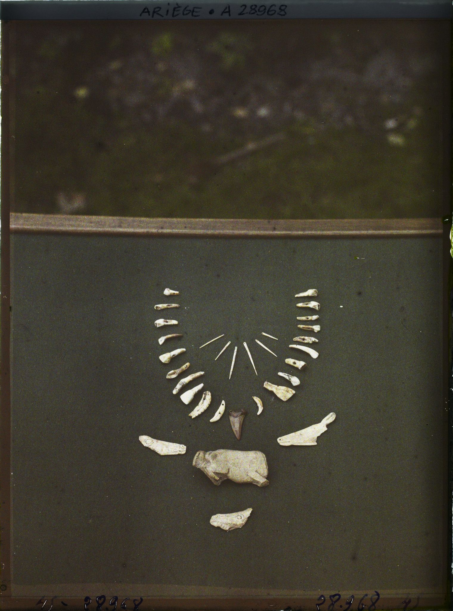 Image représentant Collier de dents et propulseur