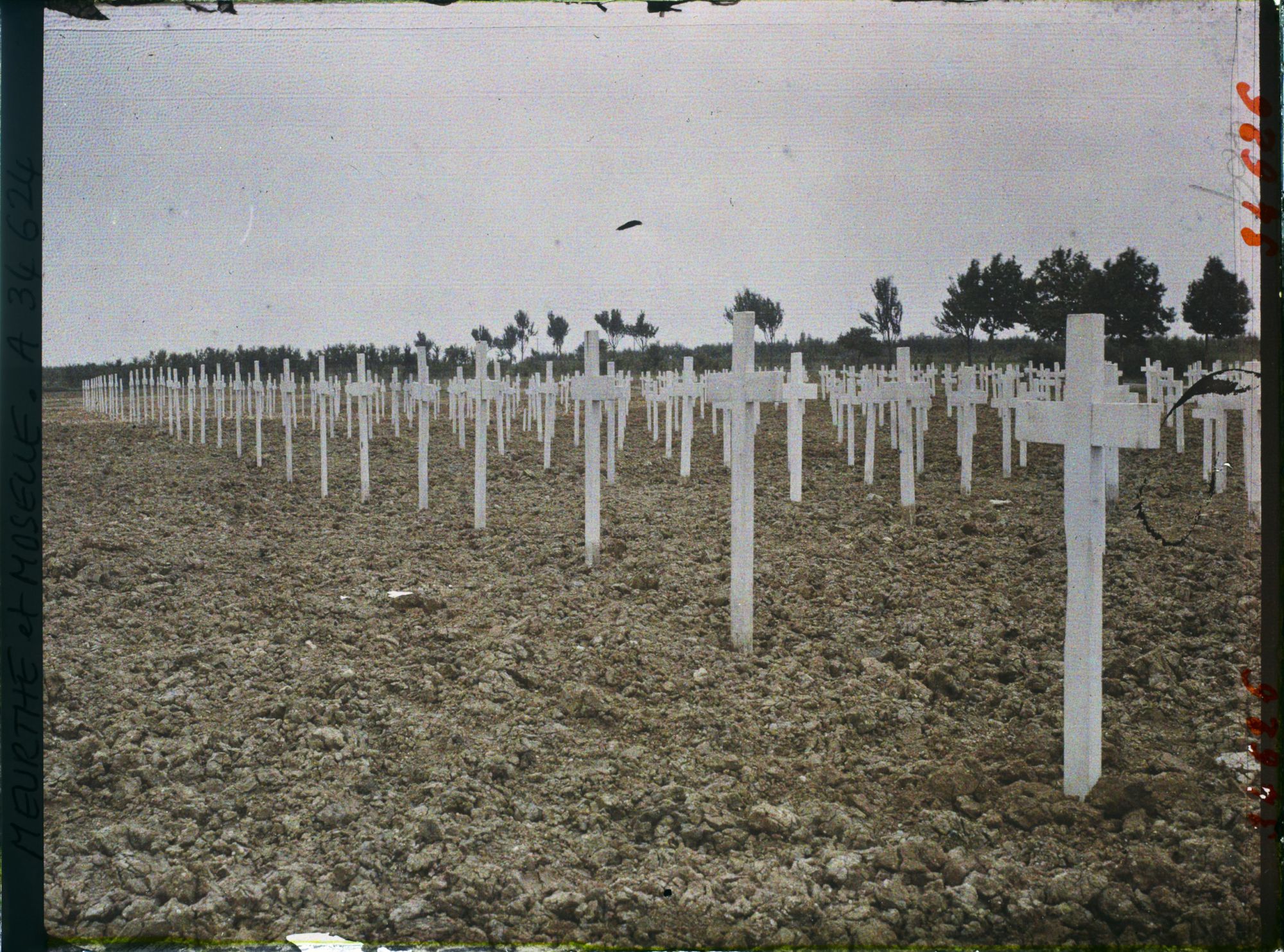 Image représentant France, Thiaucourt, Cimetière Américain