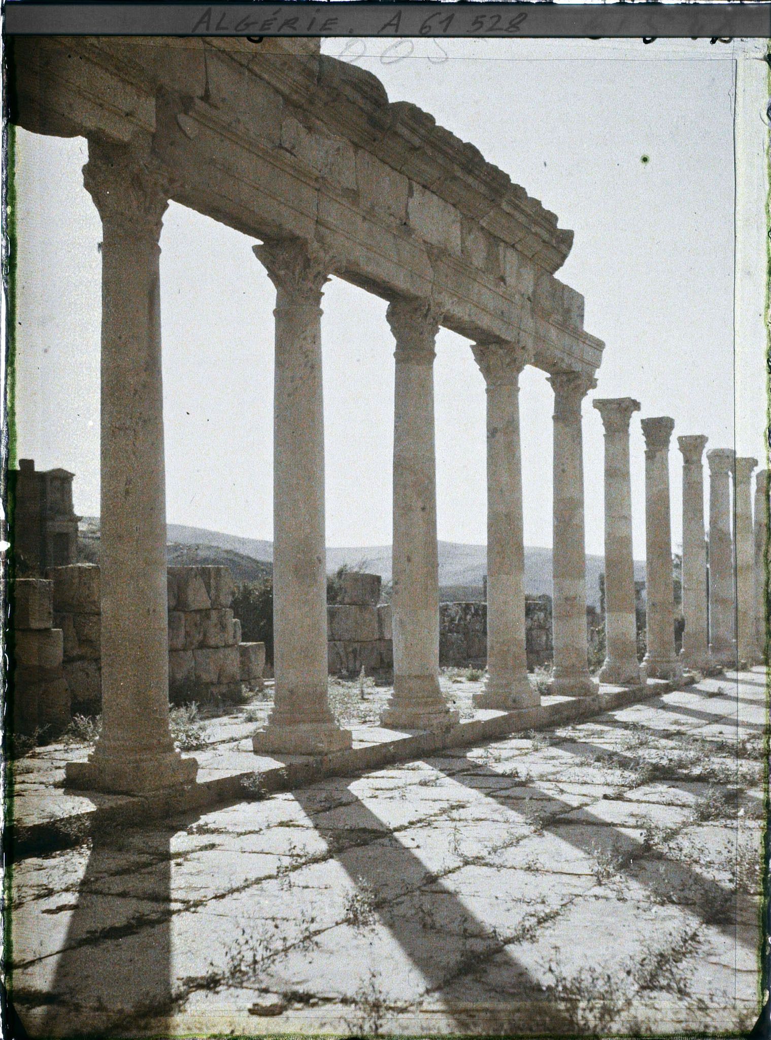 Image représentant Colonnades du pourtour du Grand Temple, vestiges de la cité antique Cuicul