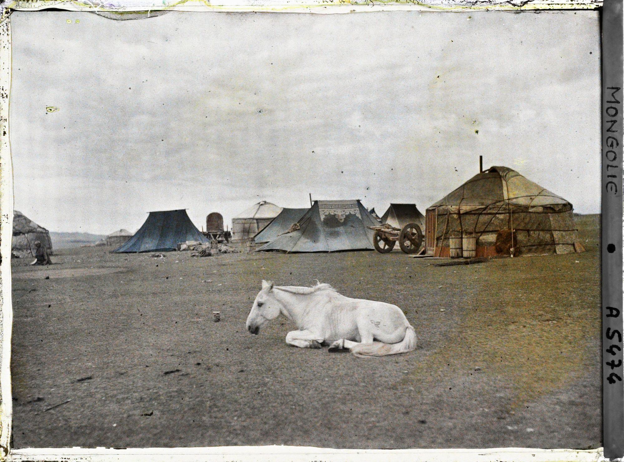 Image représentant Un cheval couché devant un campement de tentes et de yourtes