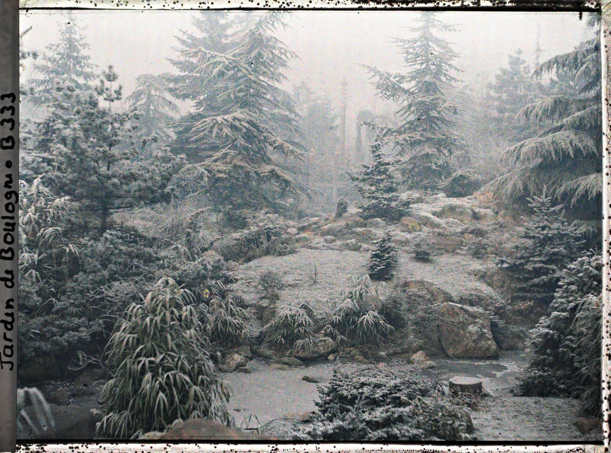 Image représentant Paysage arboré du " sanctuaire japonais " couvert de givre et sôrintô voilé par la brume