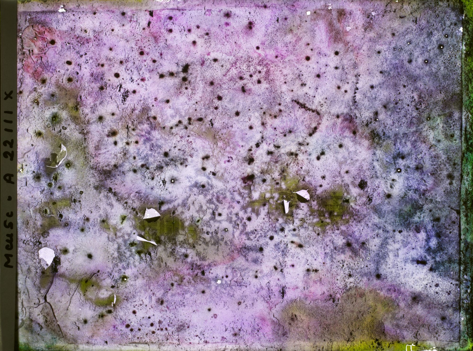 Image représentant Image illisible, plaque endommagée par l'eau (altérations d'époque)