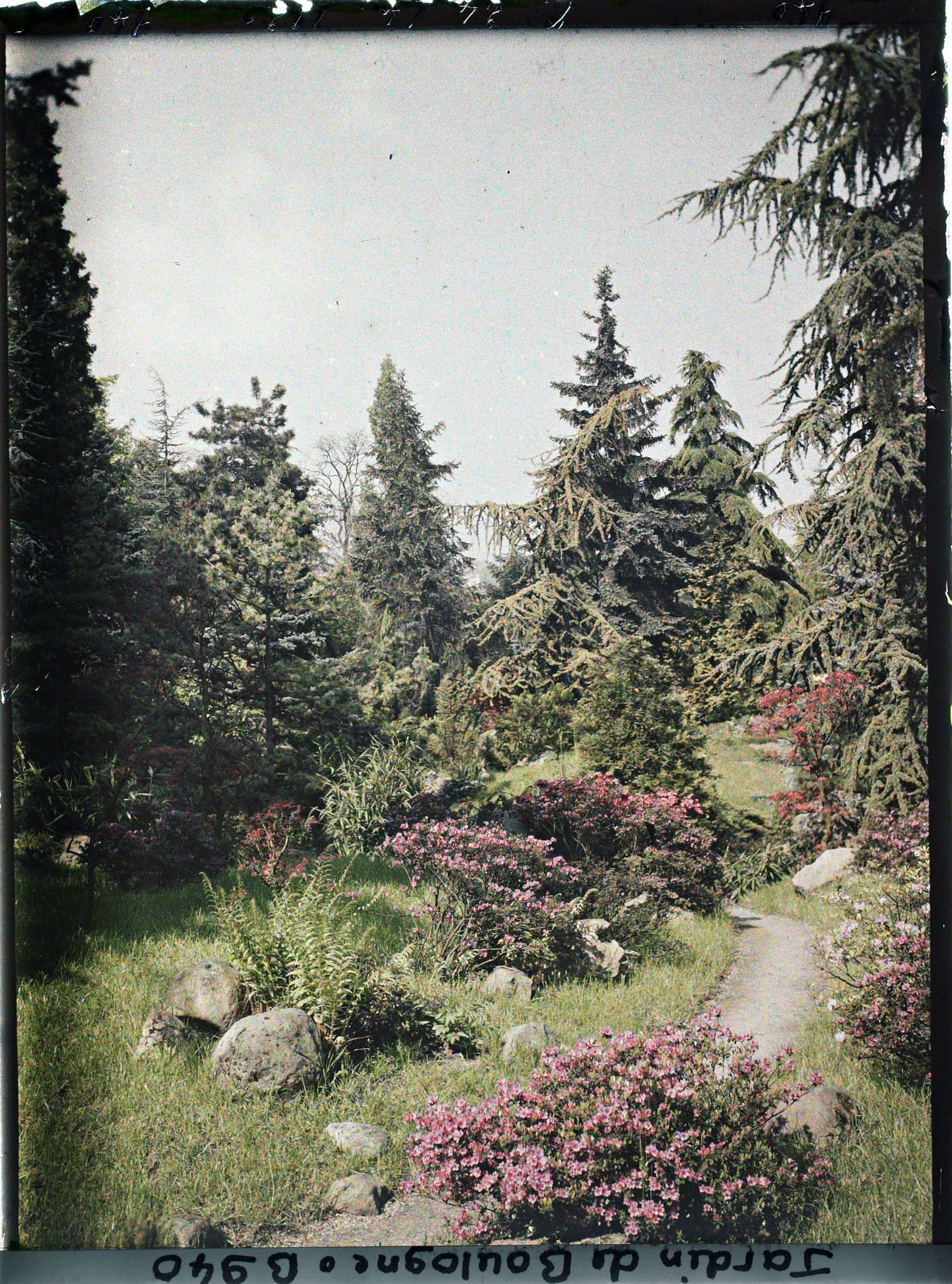 Image représentant Chemin du " sanctuaire japonais " bordé d'érables et d'azalées, à la sortie du " village japonais "