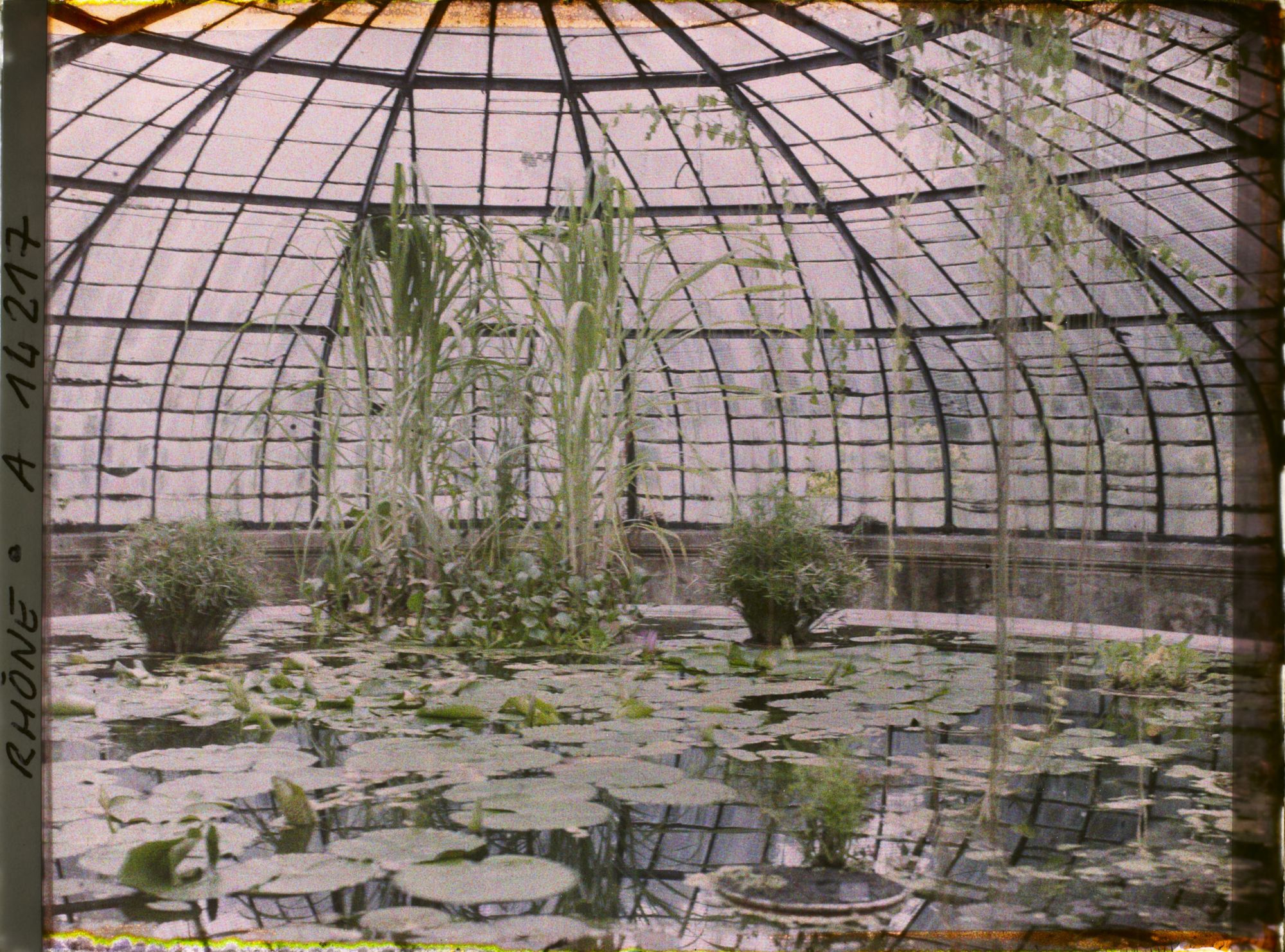 Image représentant Parc de la Tête d'Or