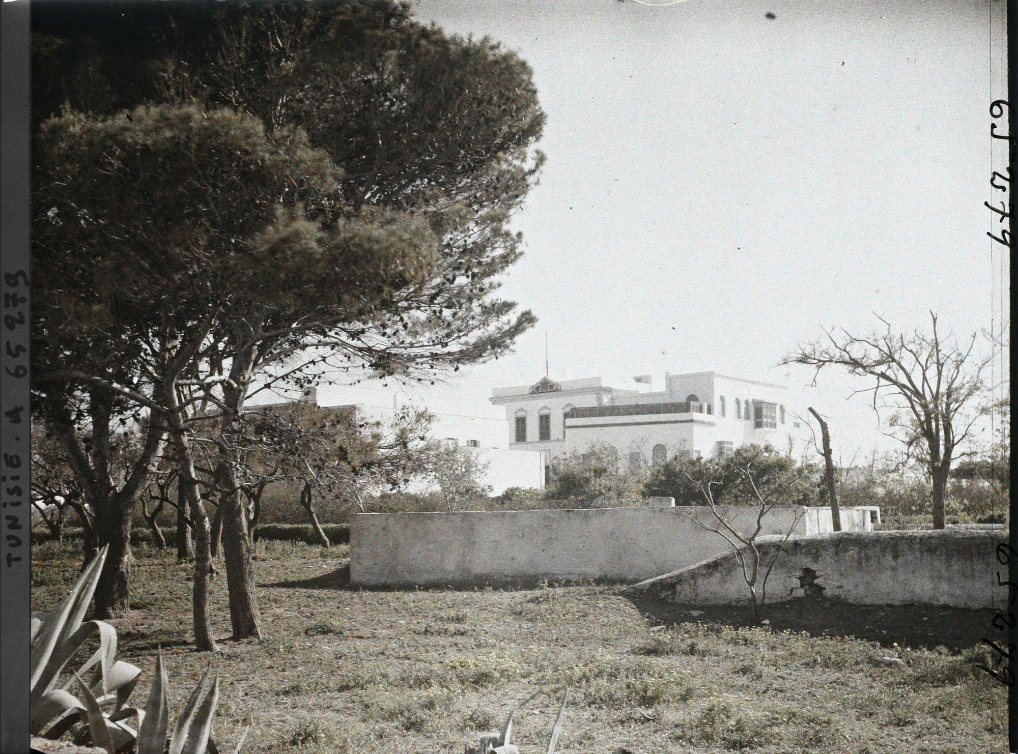 Image représentant Les jardins et le palais du bey