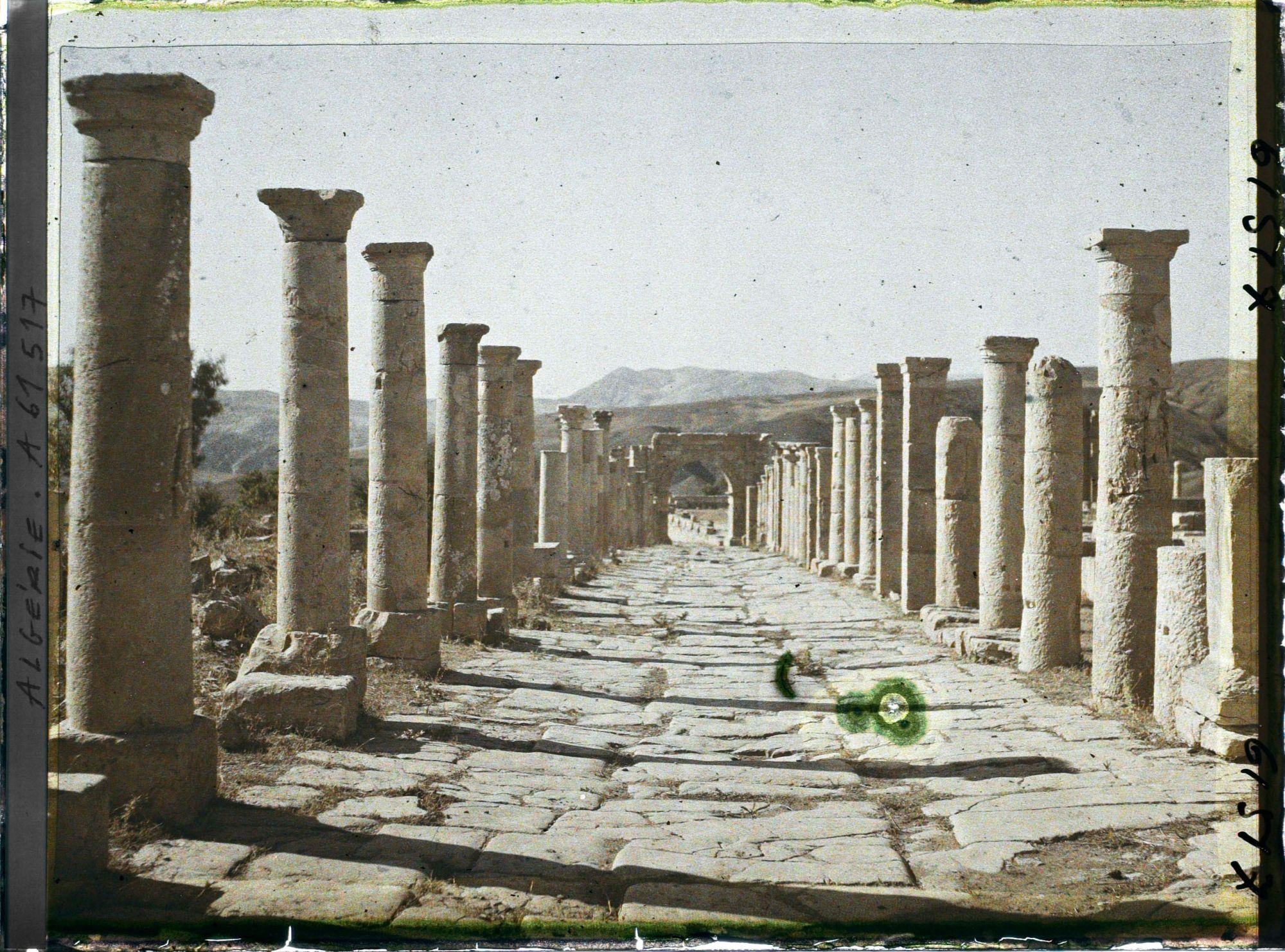 Image représentant Le cardo maximus vestiges de de l'antique Cuicul