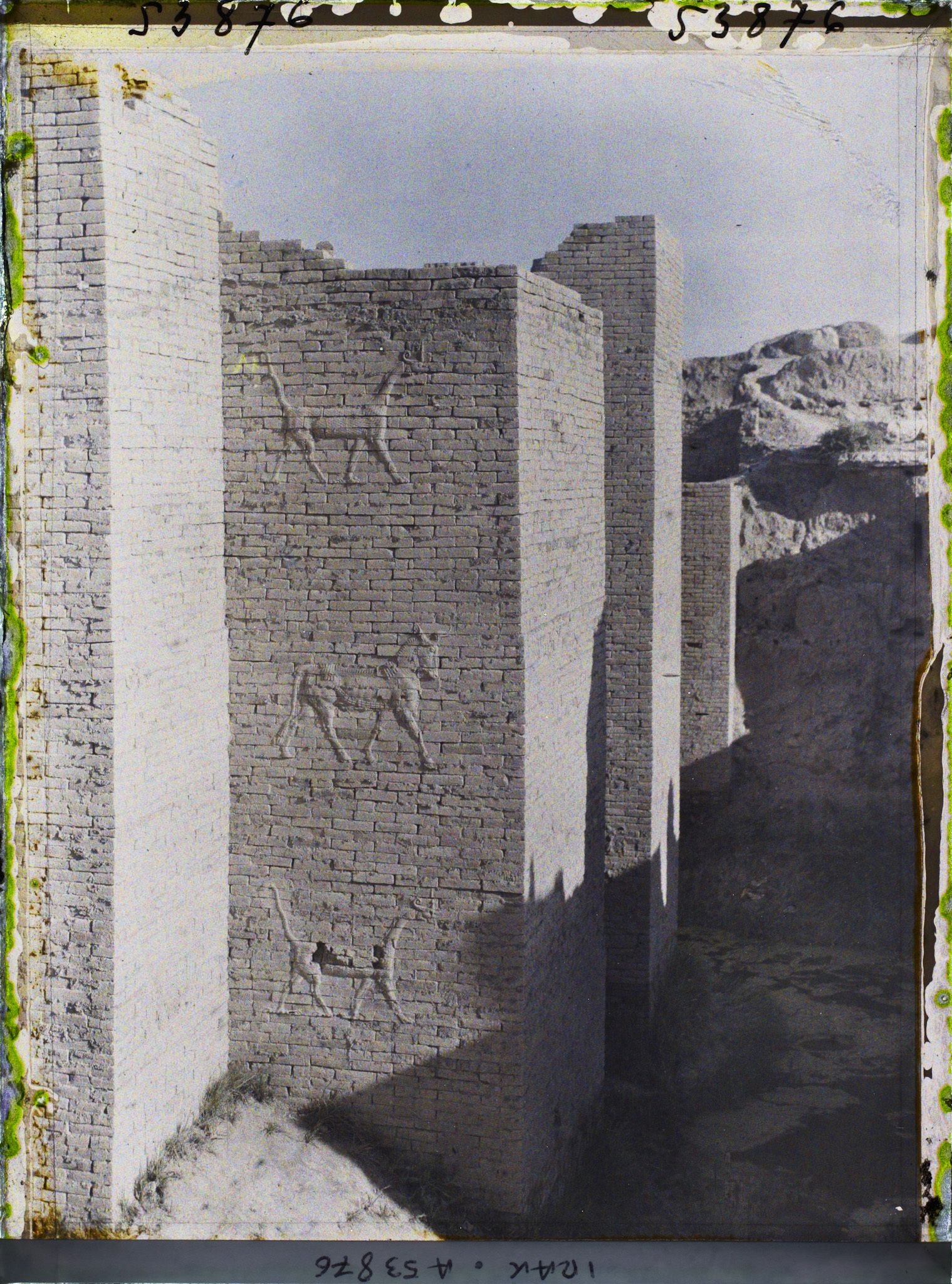 Image représentant La porte d'Ishtar décorée de bas-reliefs zoomorphes (VIe siècle avant J.-C.)