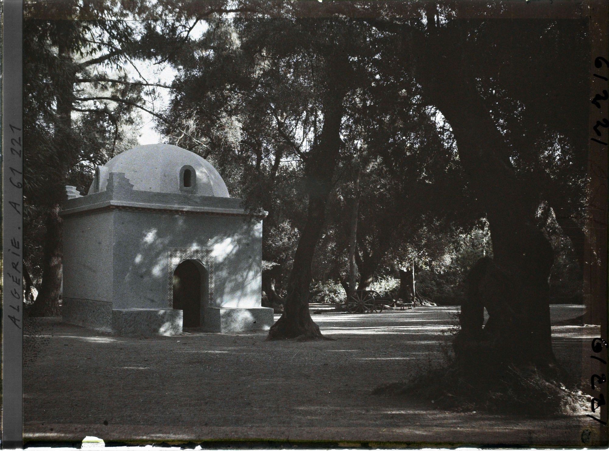 Image représentant Le sanctuaire de Sidi Yacoub dans le bois sacré