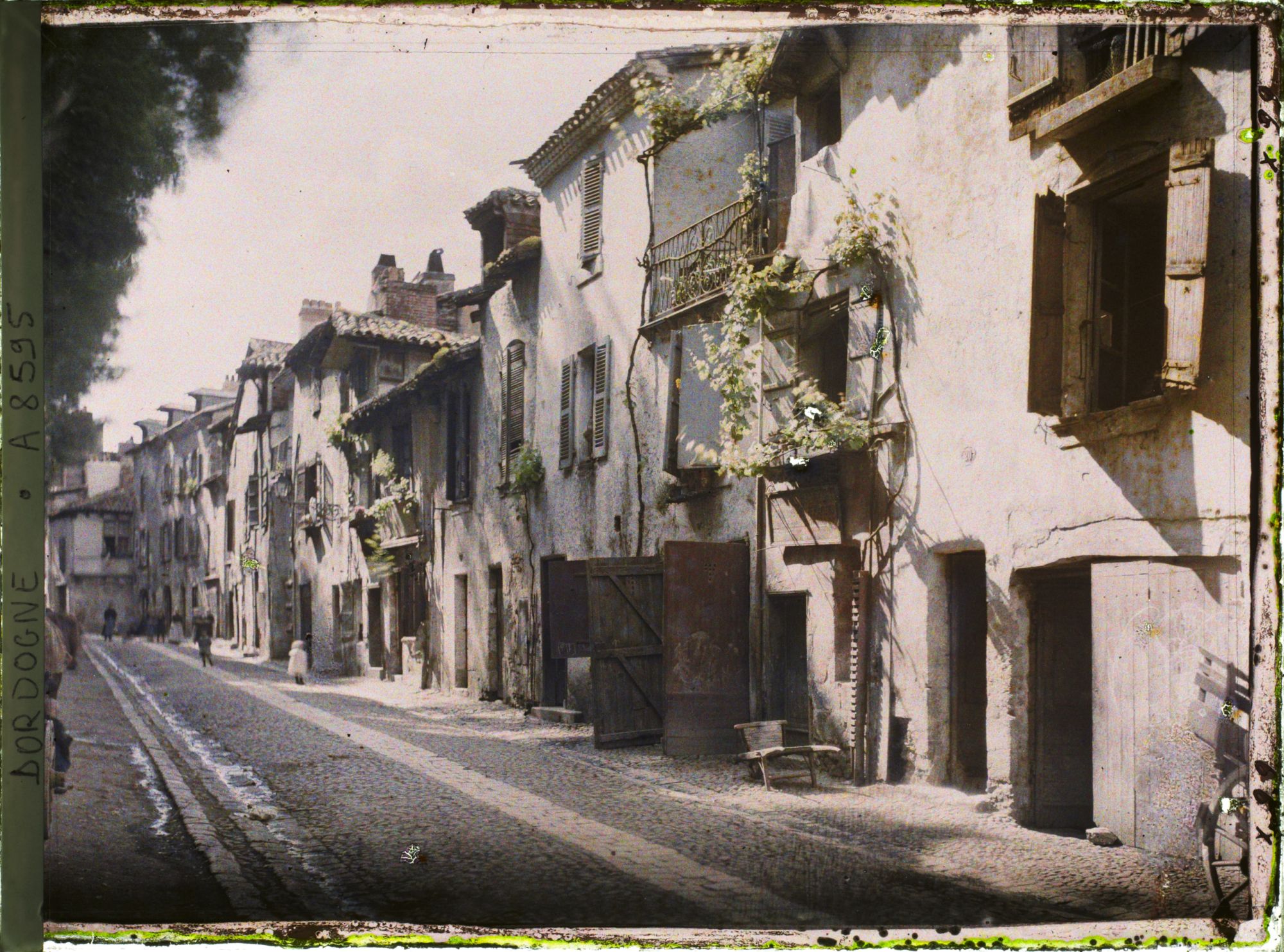 Image représentant France, Périgueux, Rue du Lys prise d'en bas
