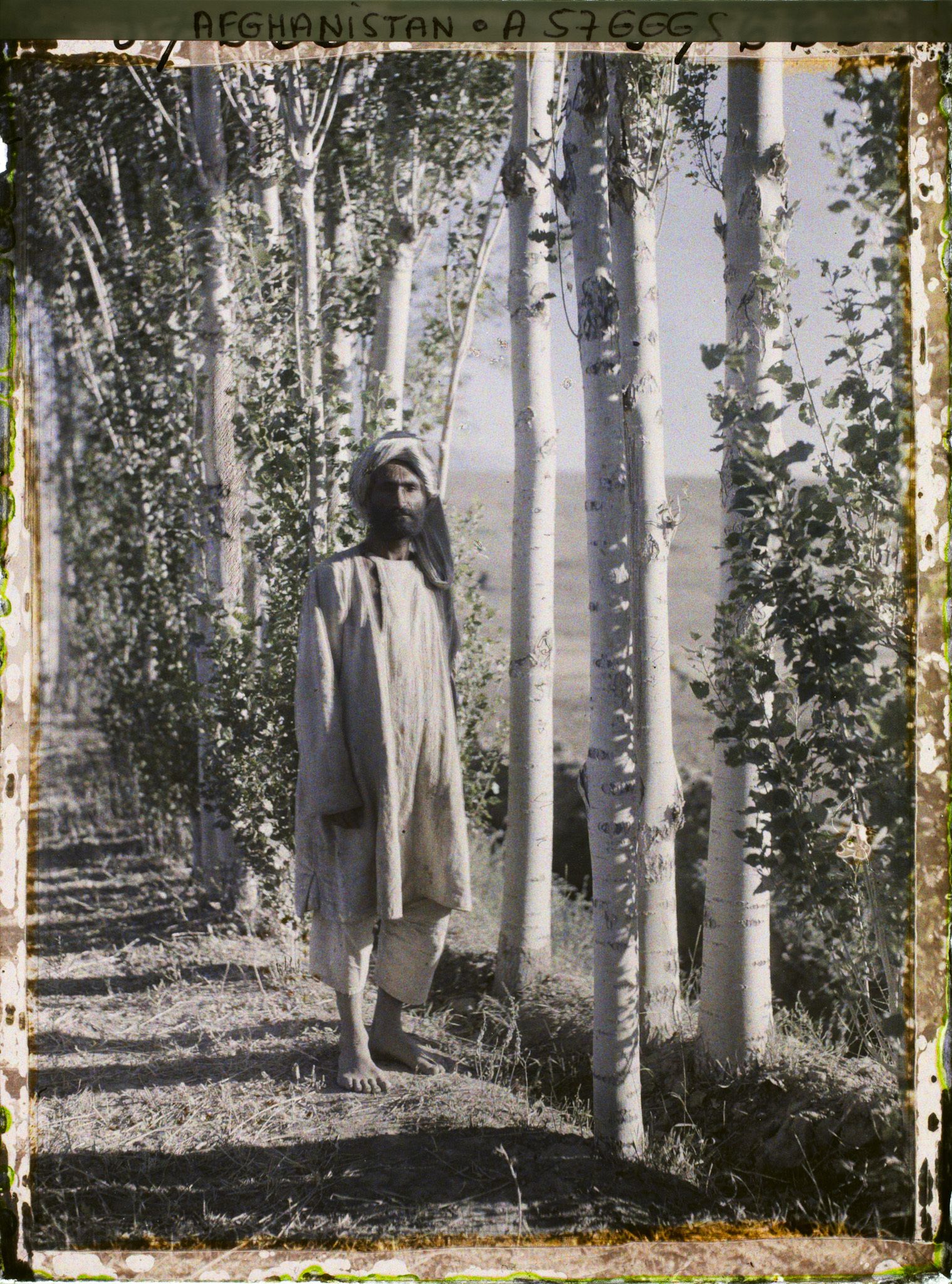 Image représentant Paysage de la région