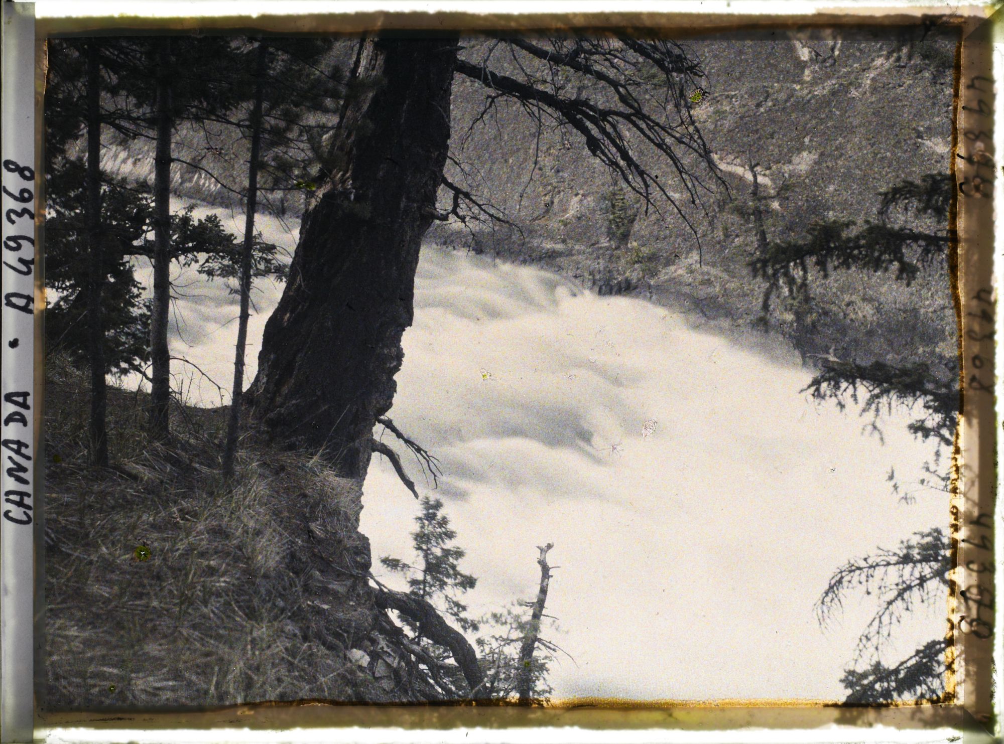 Image représentant Canada, Banff, Rapides de la Bow