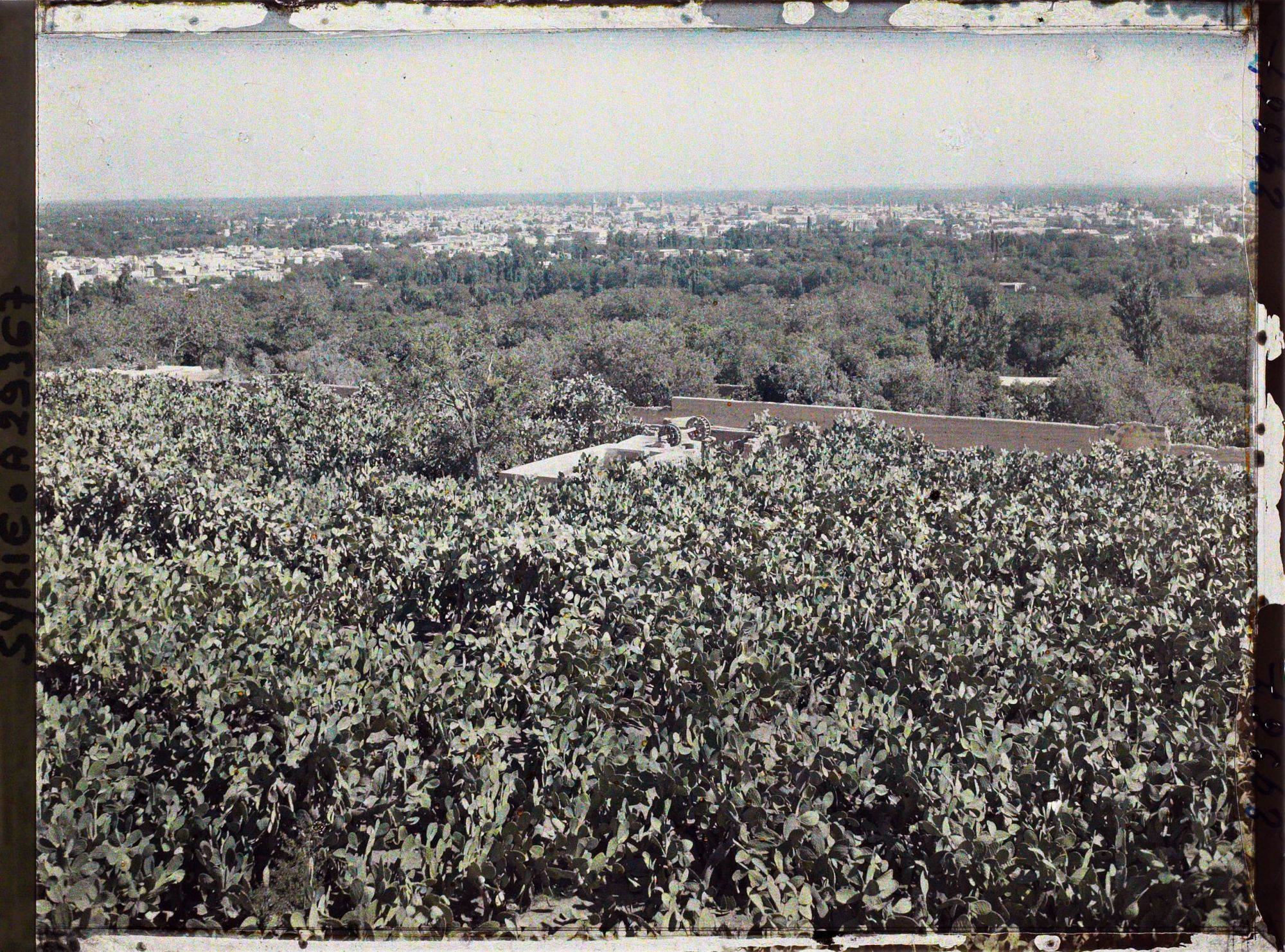 Image représentant Panorama de la ville