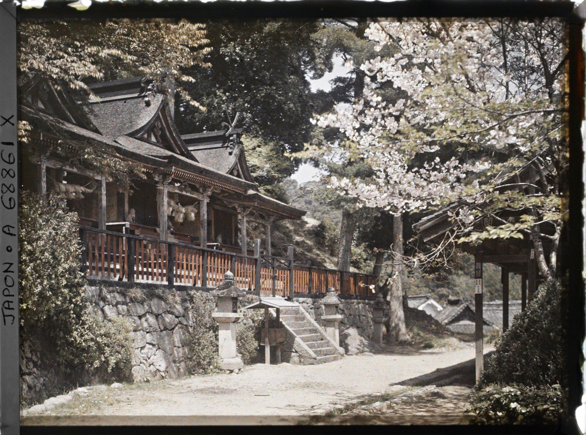 Image représentant Sanctuaires Shintô