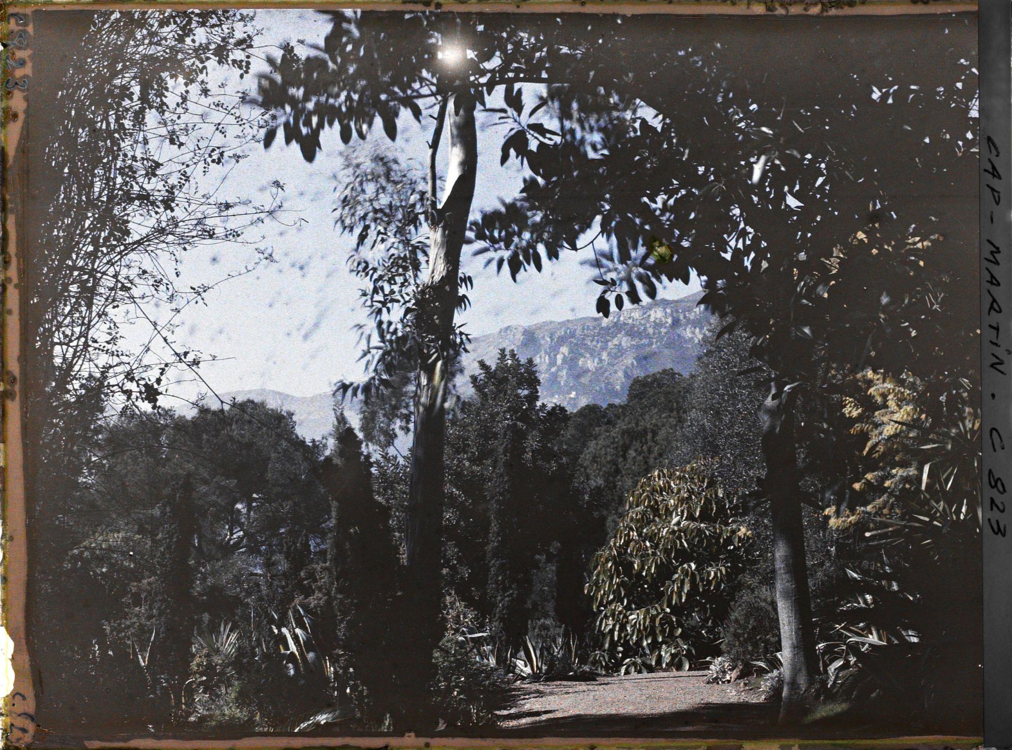 Image représentant Une allée du jardin