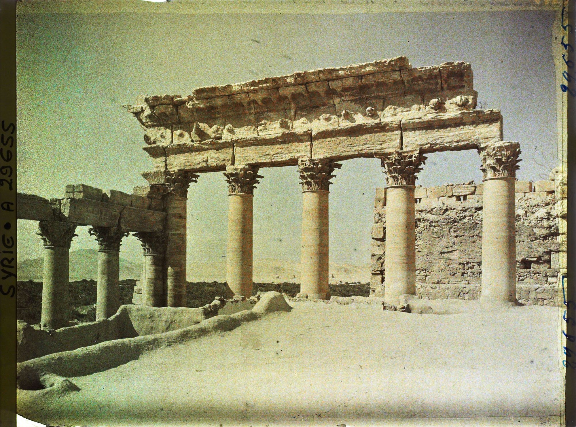 Image représentant Colonnade occidentale du Temple de Bêl