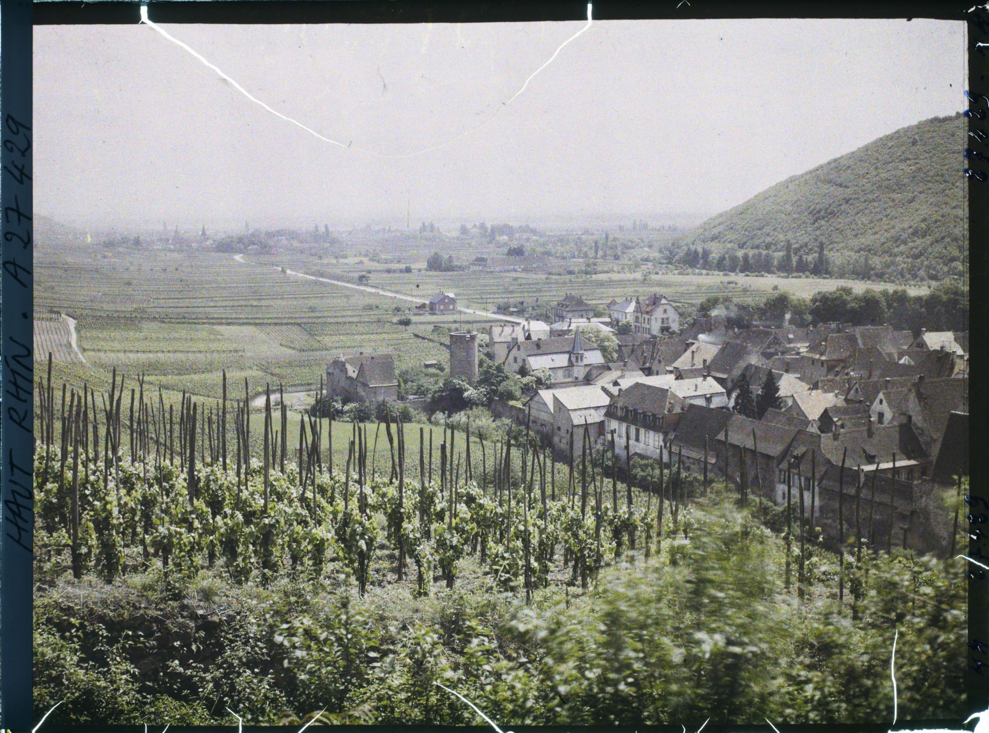 Image représentant France, Kaysersberg, Les Dernières maisons de la ville et la plaine ; au fond, le village de Kienzheim