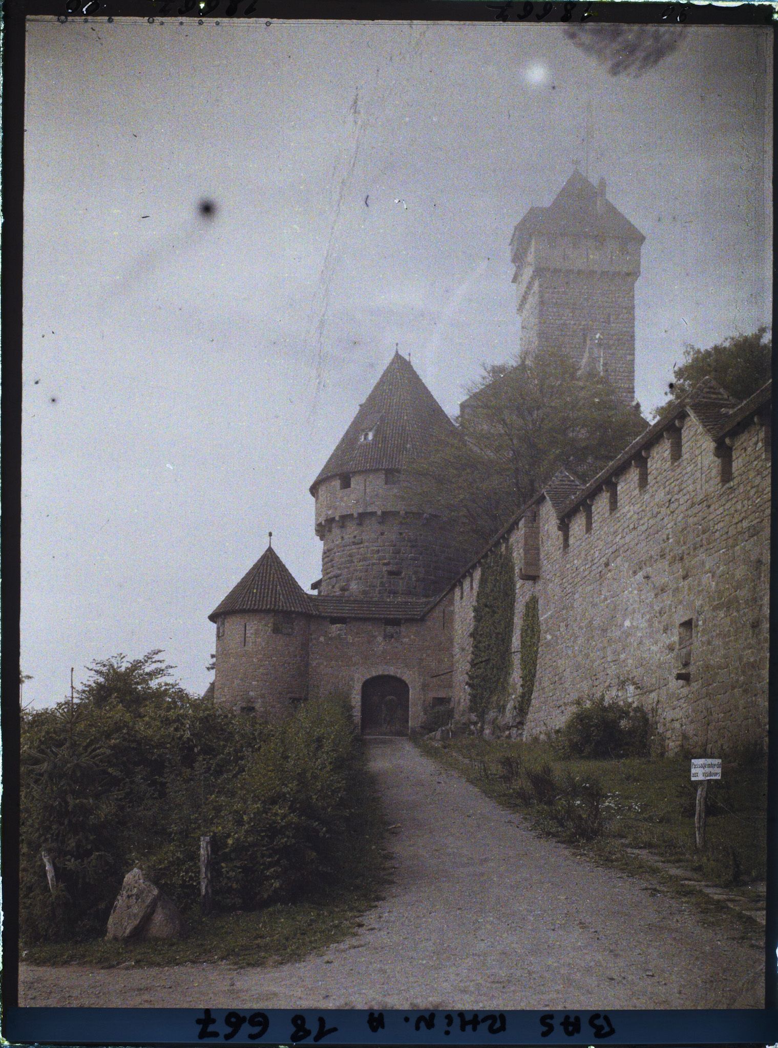 Image représentant Château de Haut-Koenigsbourg