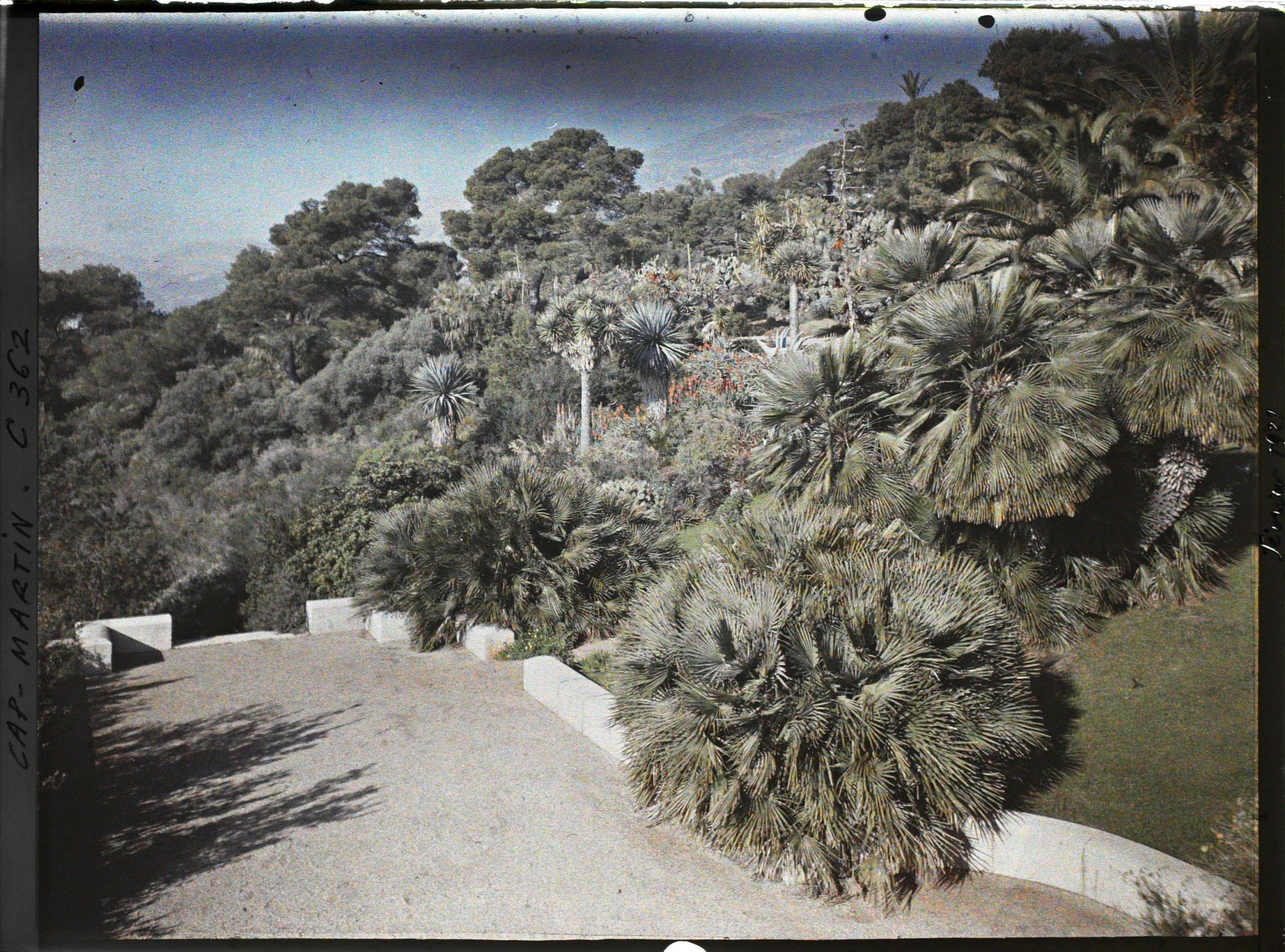 Image représentant Partie ouest de la terrasse inférieure de la villa Kahn, dite villa Zamir, ouverte sur le jardin