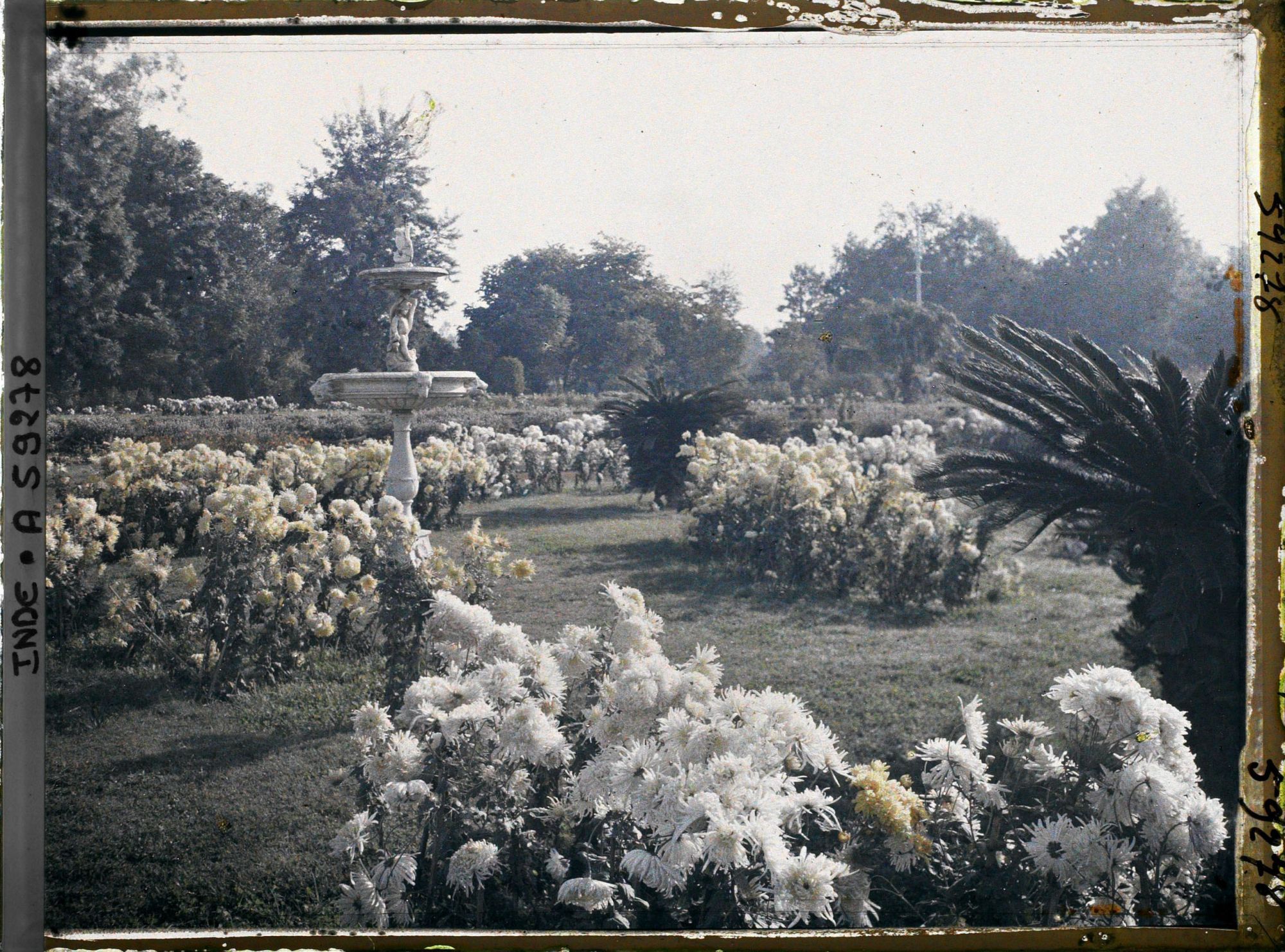 Image représentant Parc du palais Jagatjit