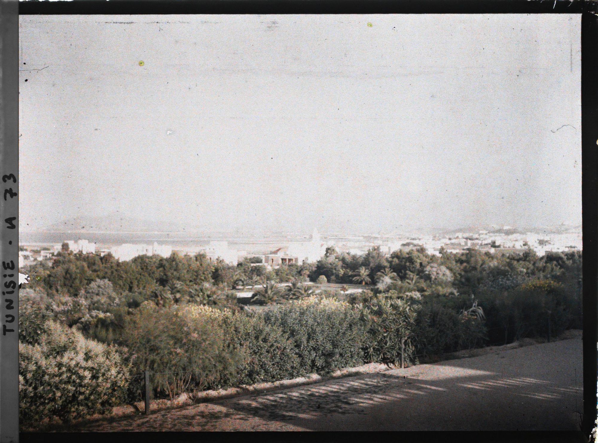 Image représentant Vue panoramique de Tunis prise du Bardo