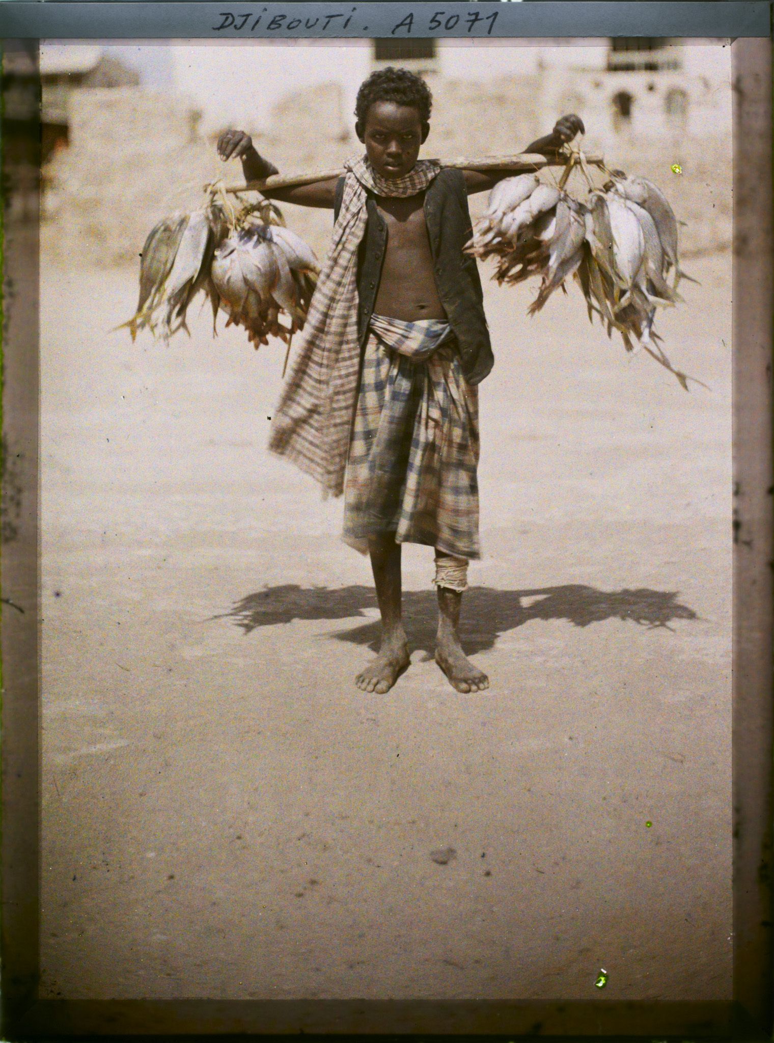 Image représentant Jeune marchand de poisson