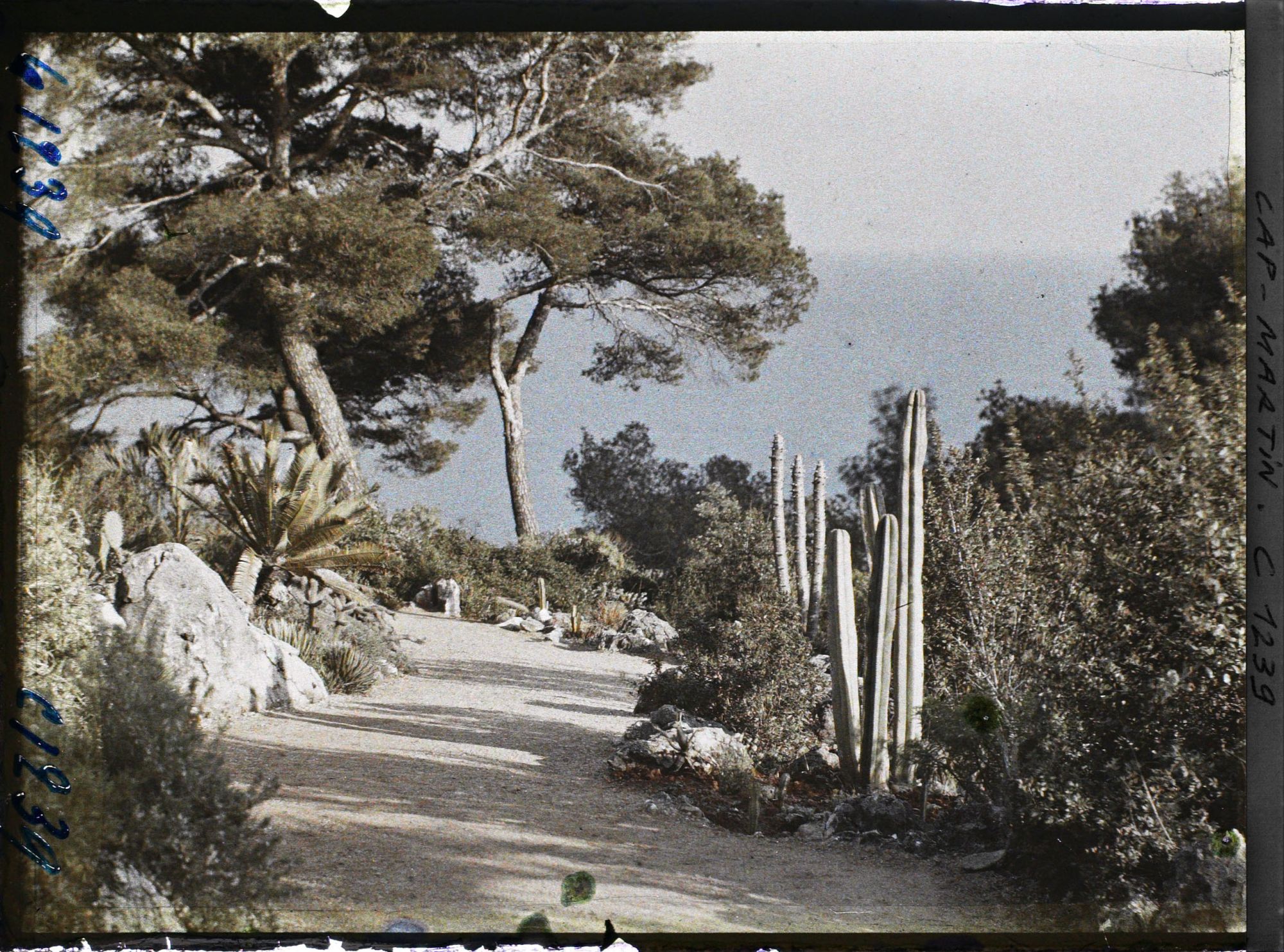 Image représentant le Jardin