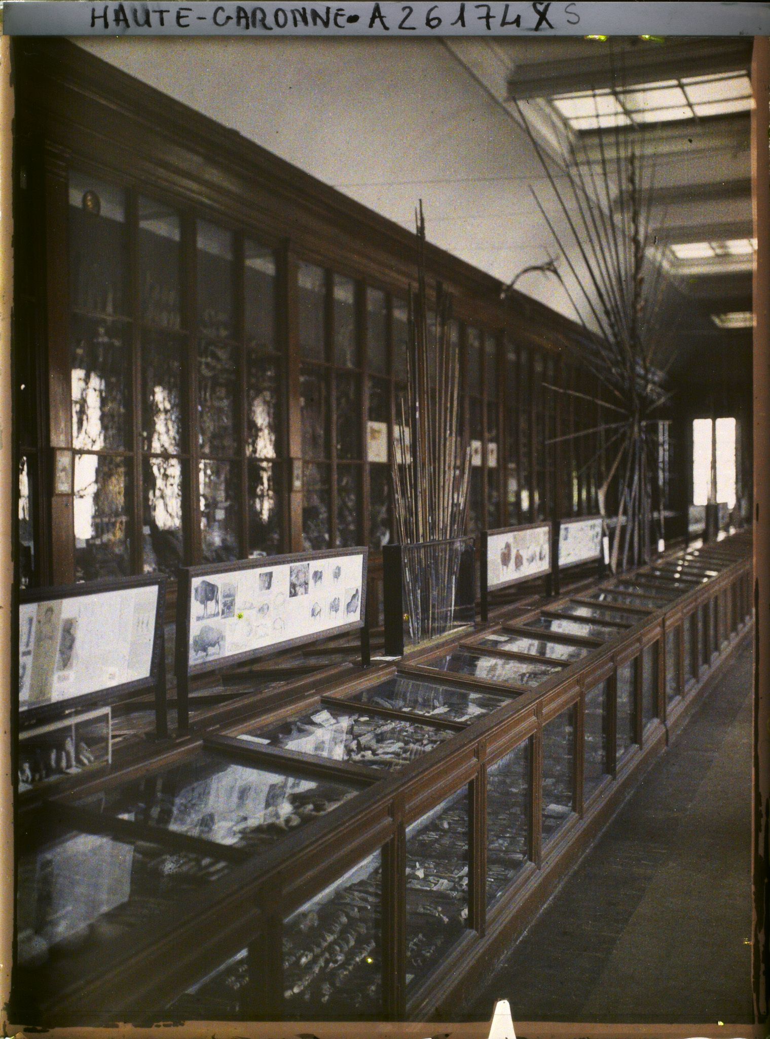 Image représentant France, Toulouse, Musée : La salle du Musée Préhistorique