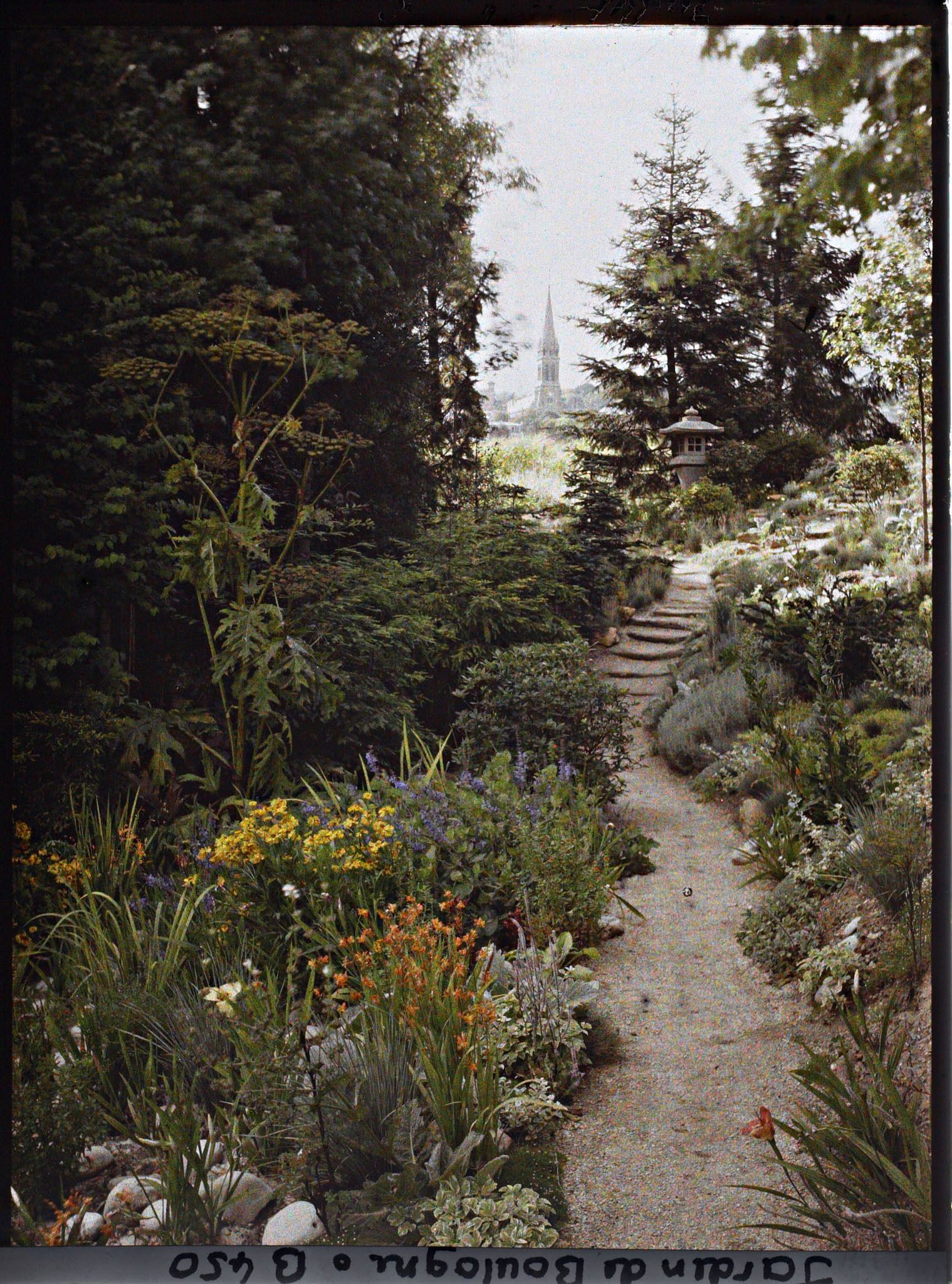 Image représentant Lanterne en haut d'un chemin escarpé du " sanctuaire japonais " bordé d'une rocaille fleurie