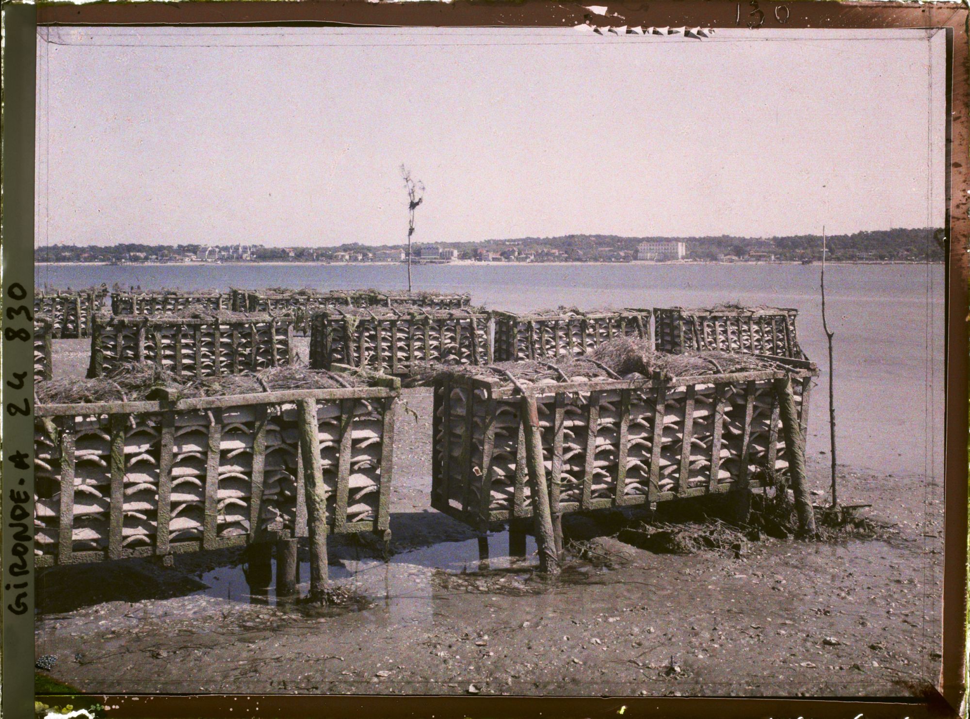 Image représentant Les claires, parc à huitres