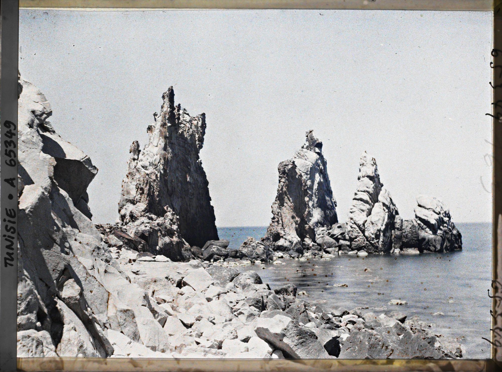 Image représentant Les aiguilles sur le rivage