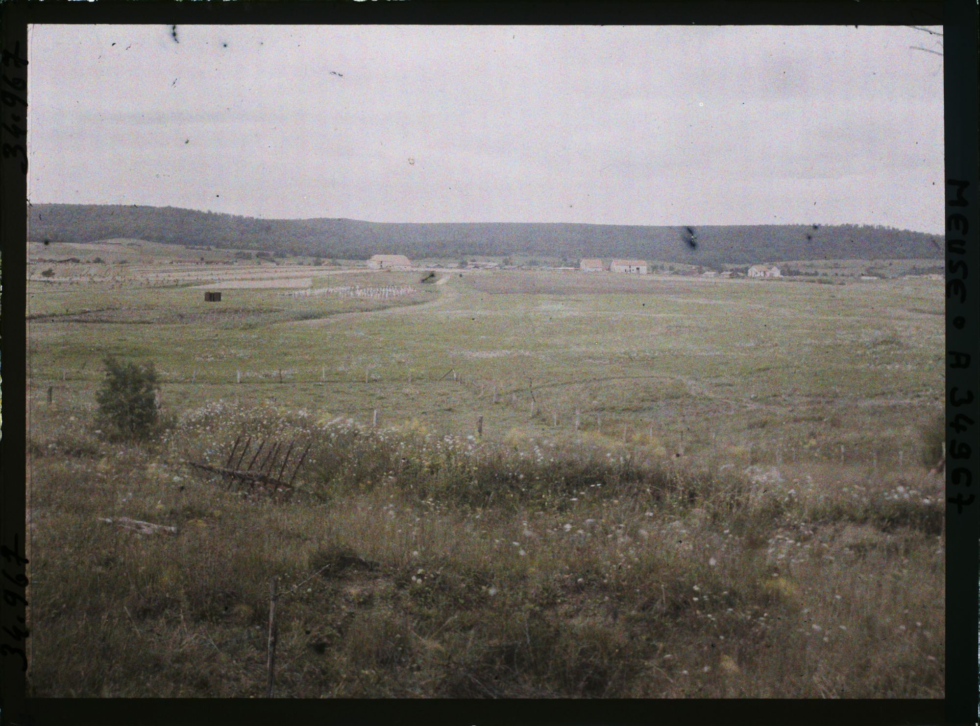 Image représentant France, Boureuil, Nouveau Boureuil  au fond, la fôret d'argonne, vue prise à l'Est de Buzemant