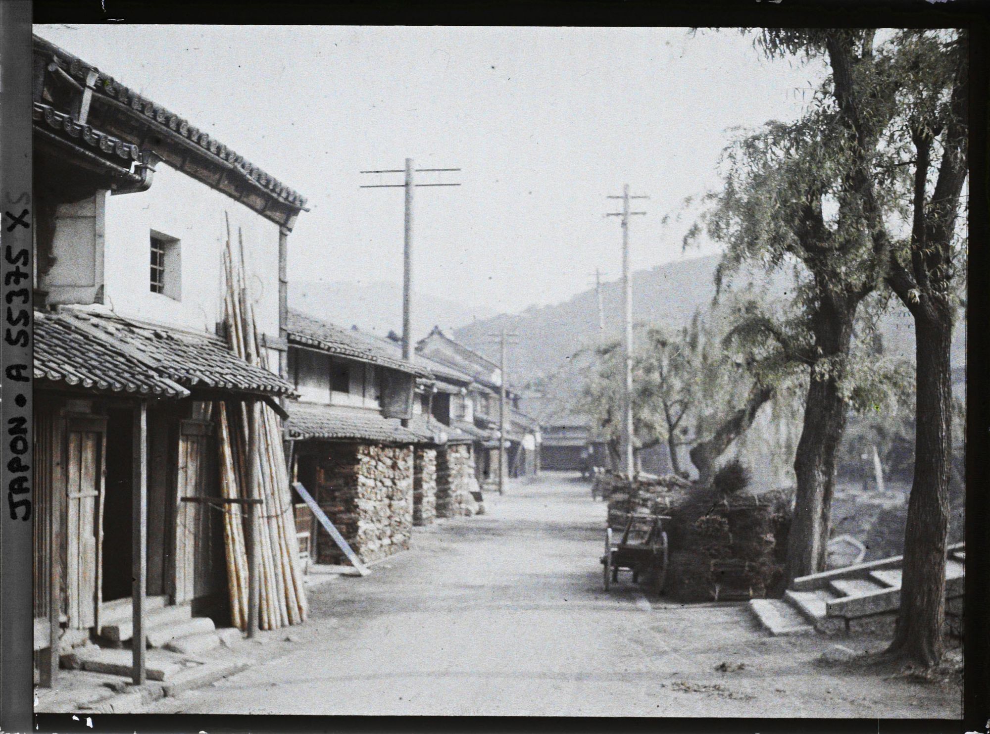 Image représentant Seta ou Kagushi (?)