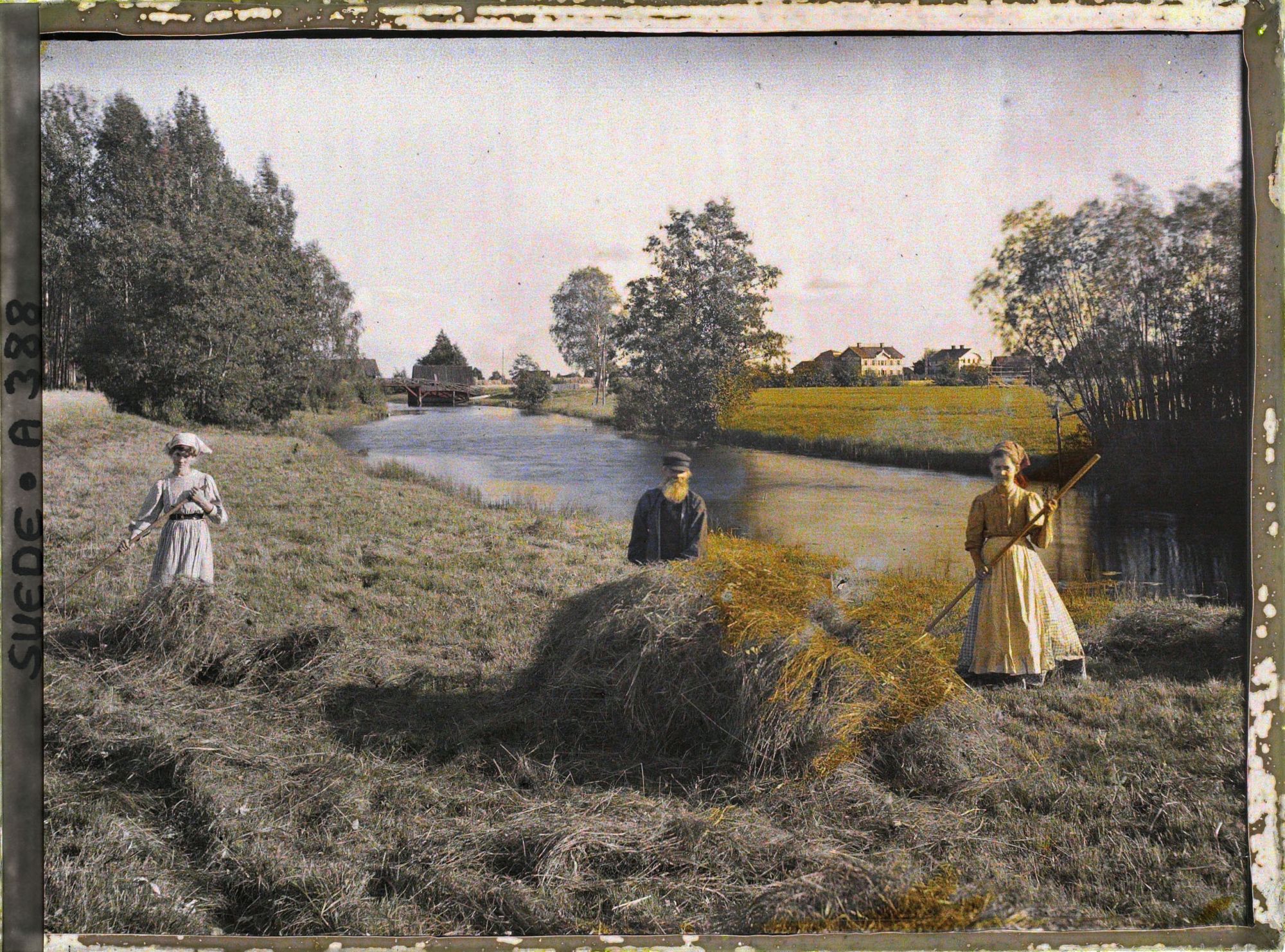 Image représentant Homme et femmes moissonnant