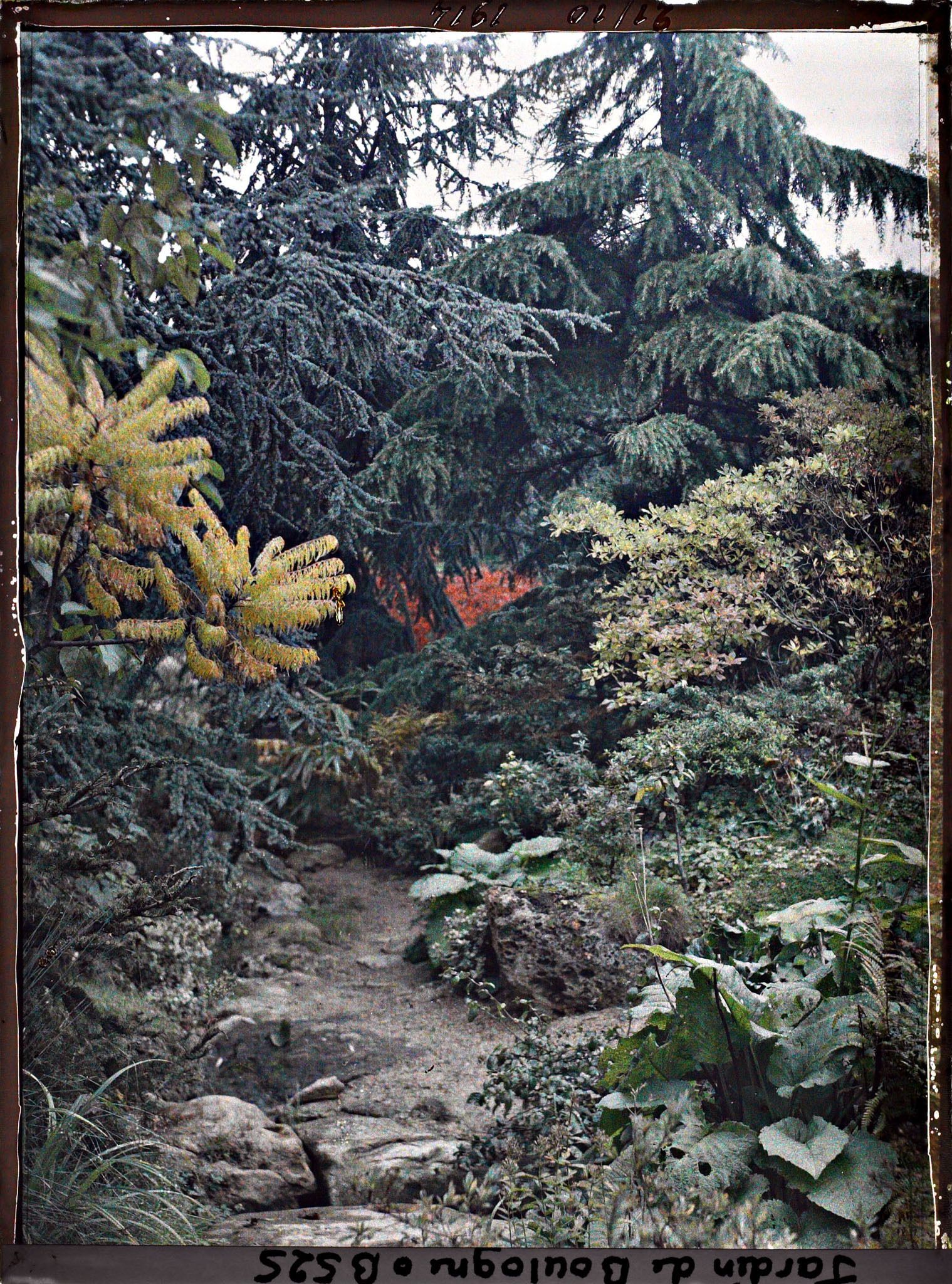 Image représentant Étroit chemin du " sanctuaire japonais " en provenance du sôrintô, longeant une coulée de verdure