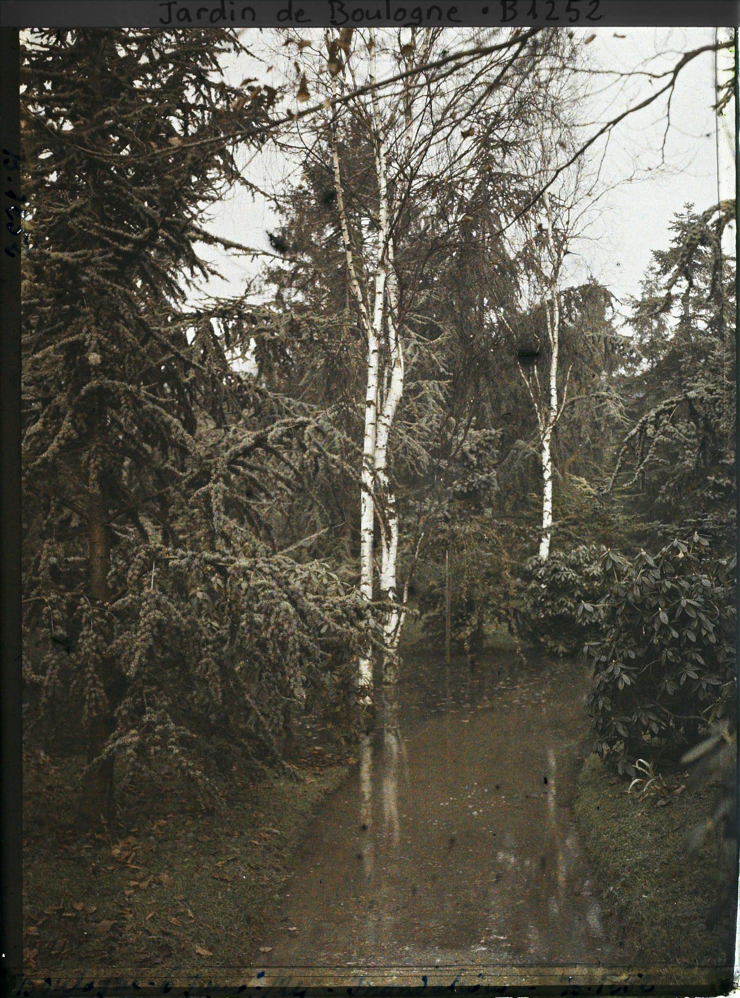 Image représentant inondation en bordure de la forêt bleue et de la forêt dorée