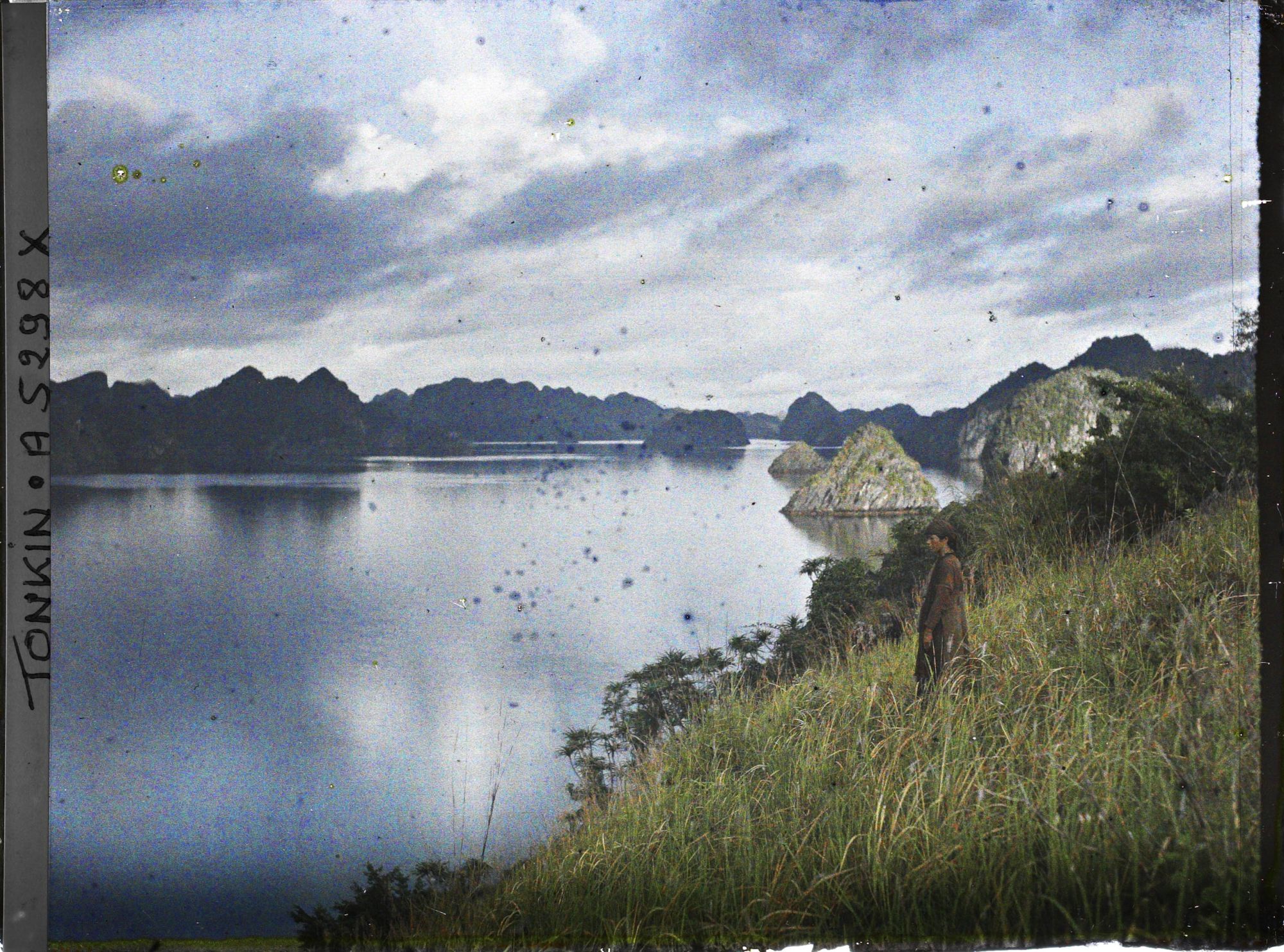 Image représentant Vue sur la baie, prise en haut d'un rocher