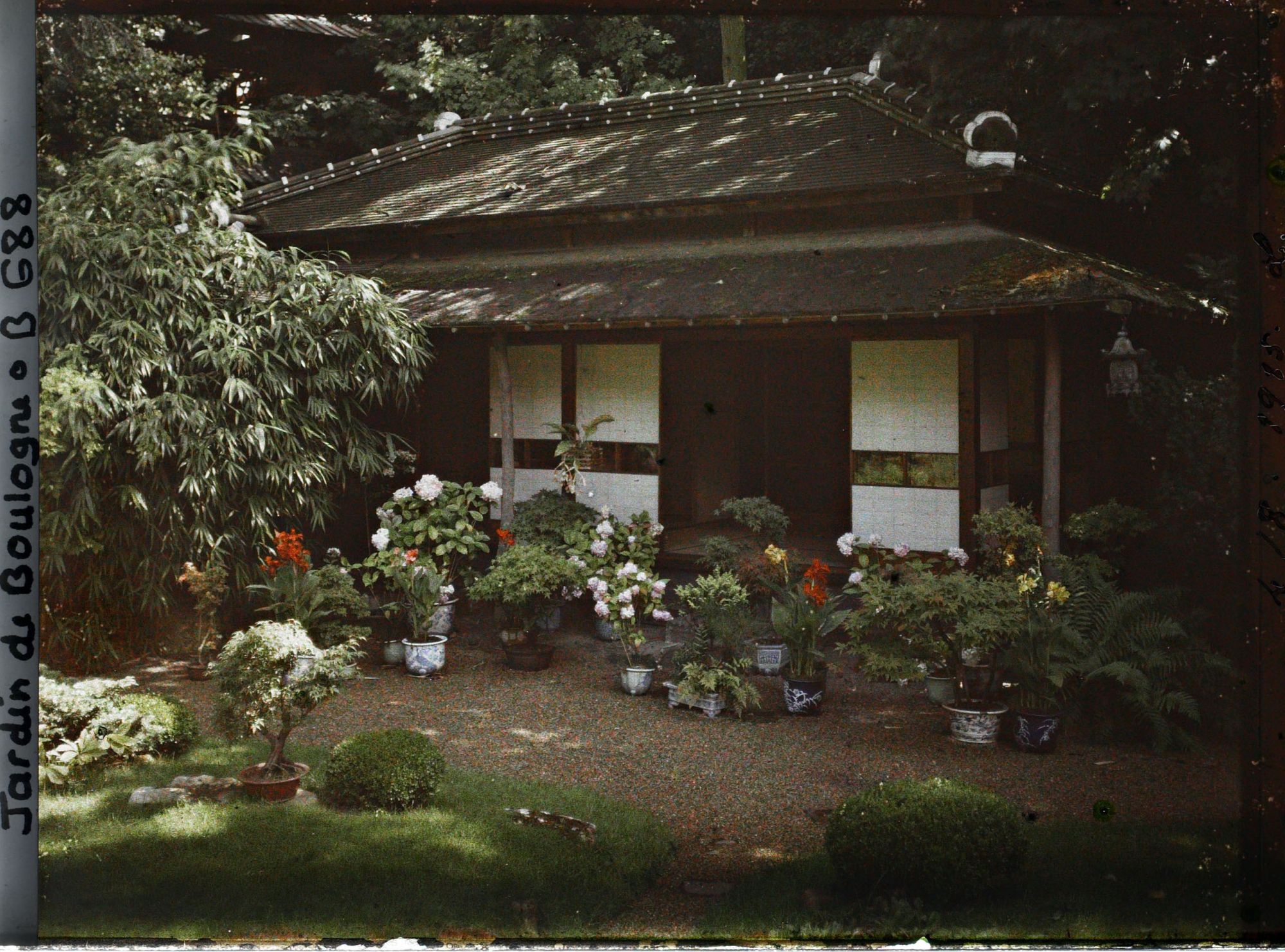 Image représentant Maison est du " village japonais ", ornée d'érables, de cannas et d'hortensias en pots