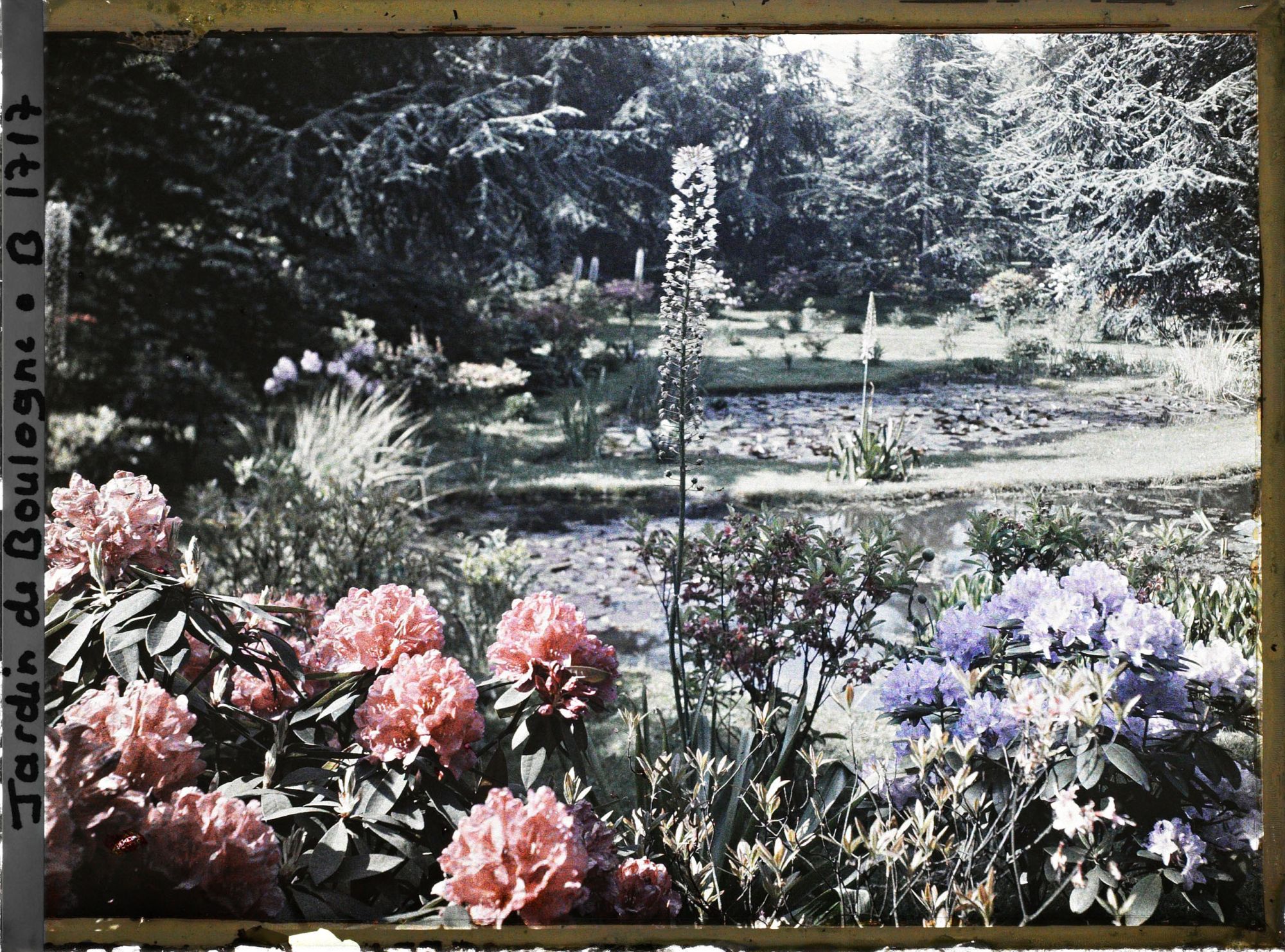 Image représentant Rhodos près des étangs