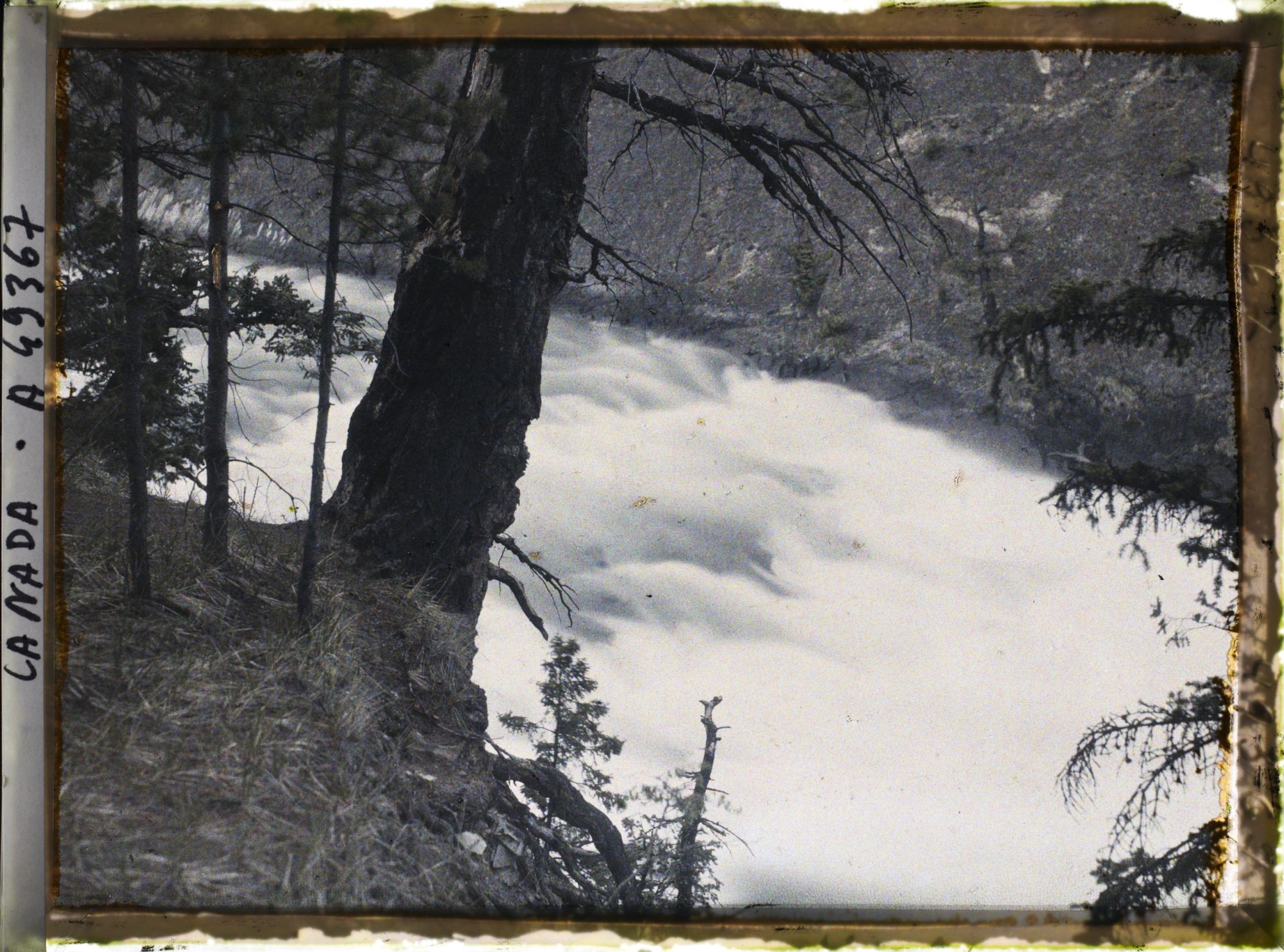 Image représentant Canada, Banff, Rapides de la Bow