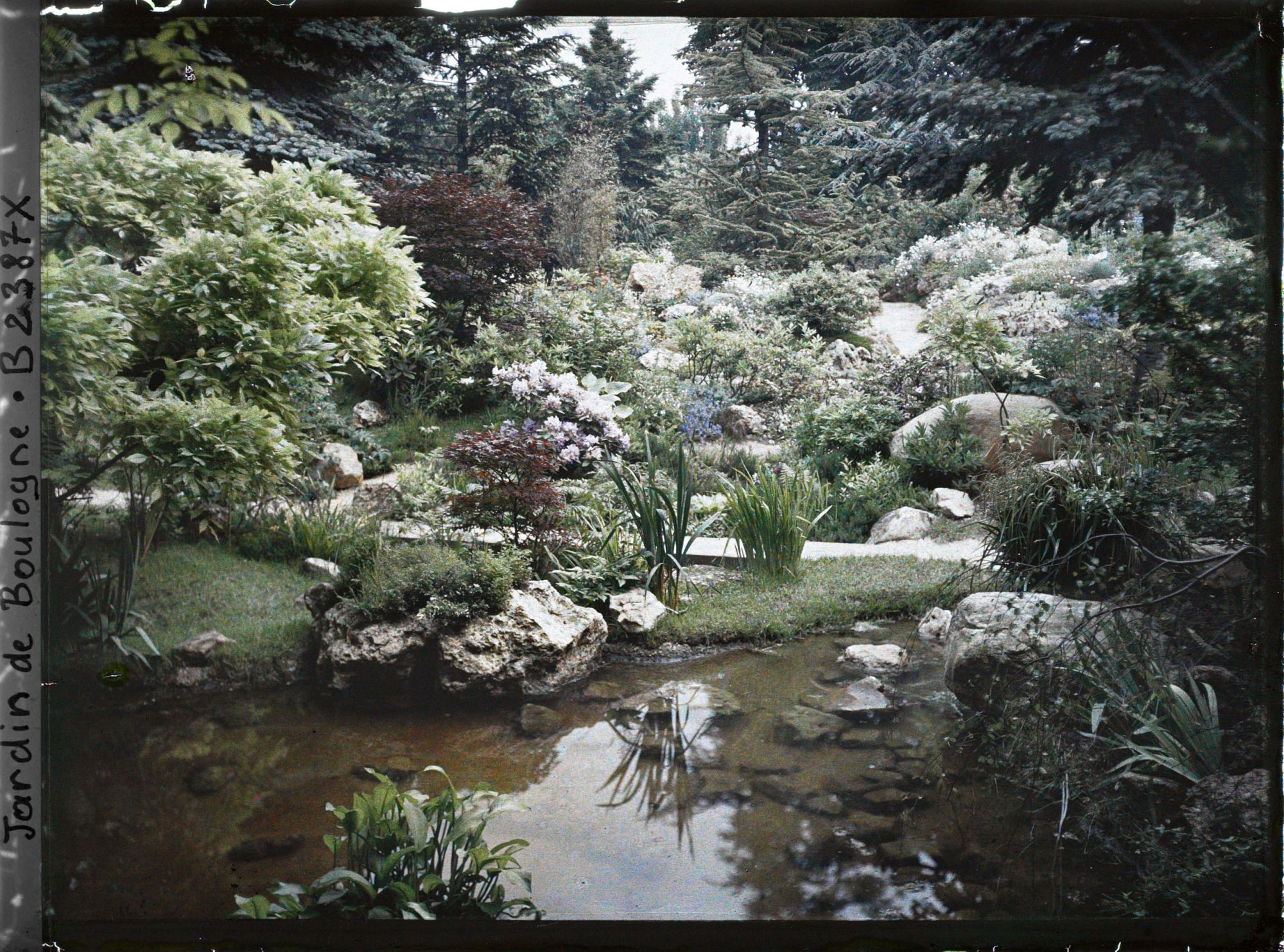Image représentant Glycine au bord de l'eau et butte fleurie du " sanctuaire japonais ", peu éloignée du temple shinto