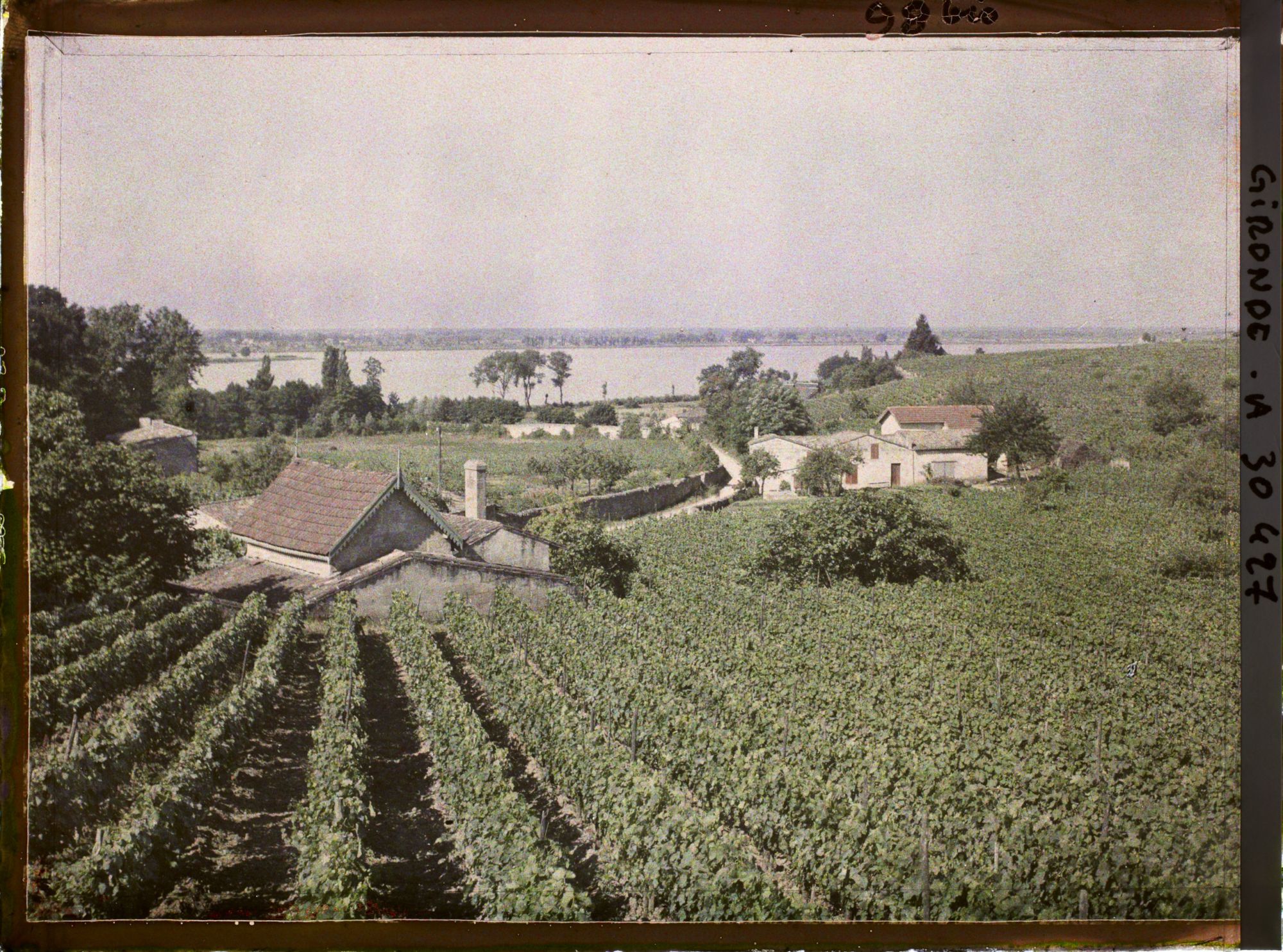 Image représentant France, Bourg s/Gironde, Les Vignes et la Dordogne