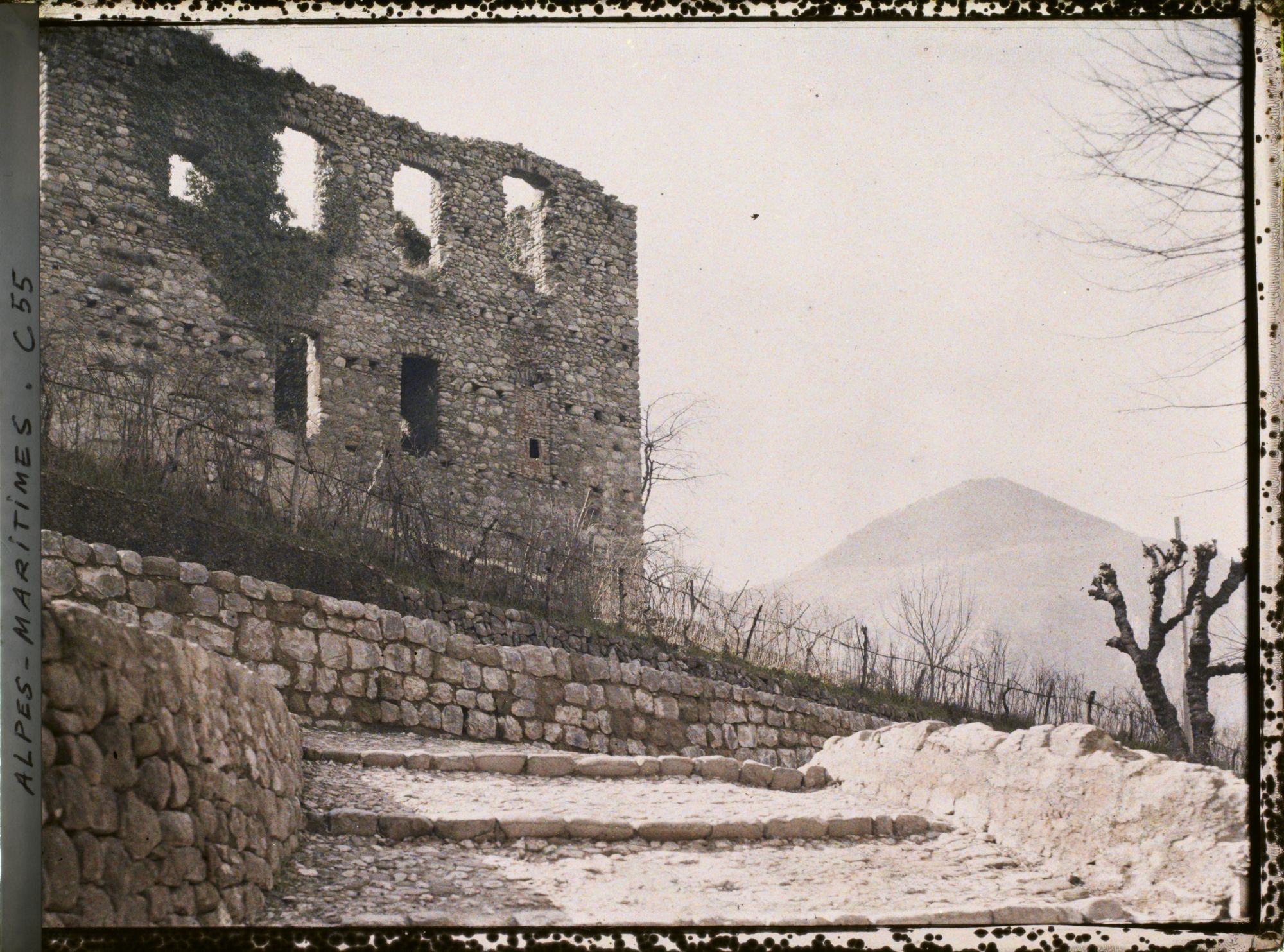 Image représentant Les ruines du château