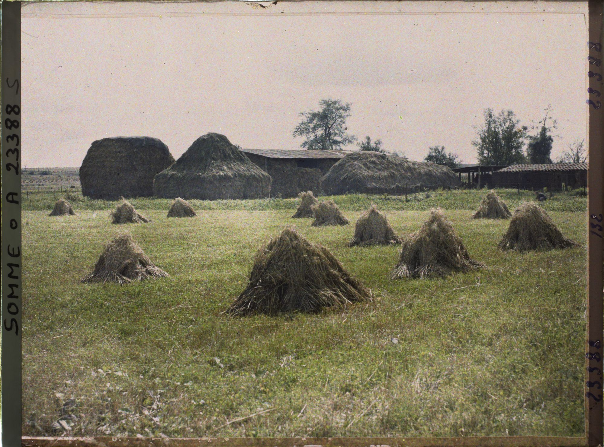 Image représentant France, Barleux, Meules de blé et Champ d'avoine