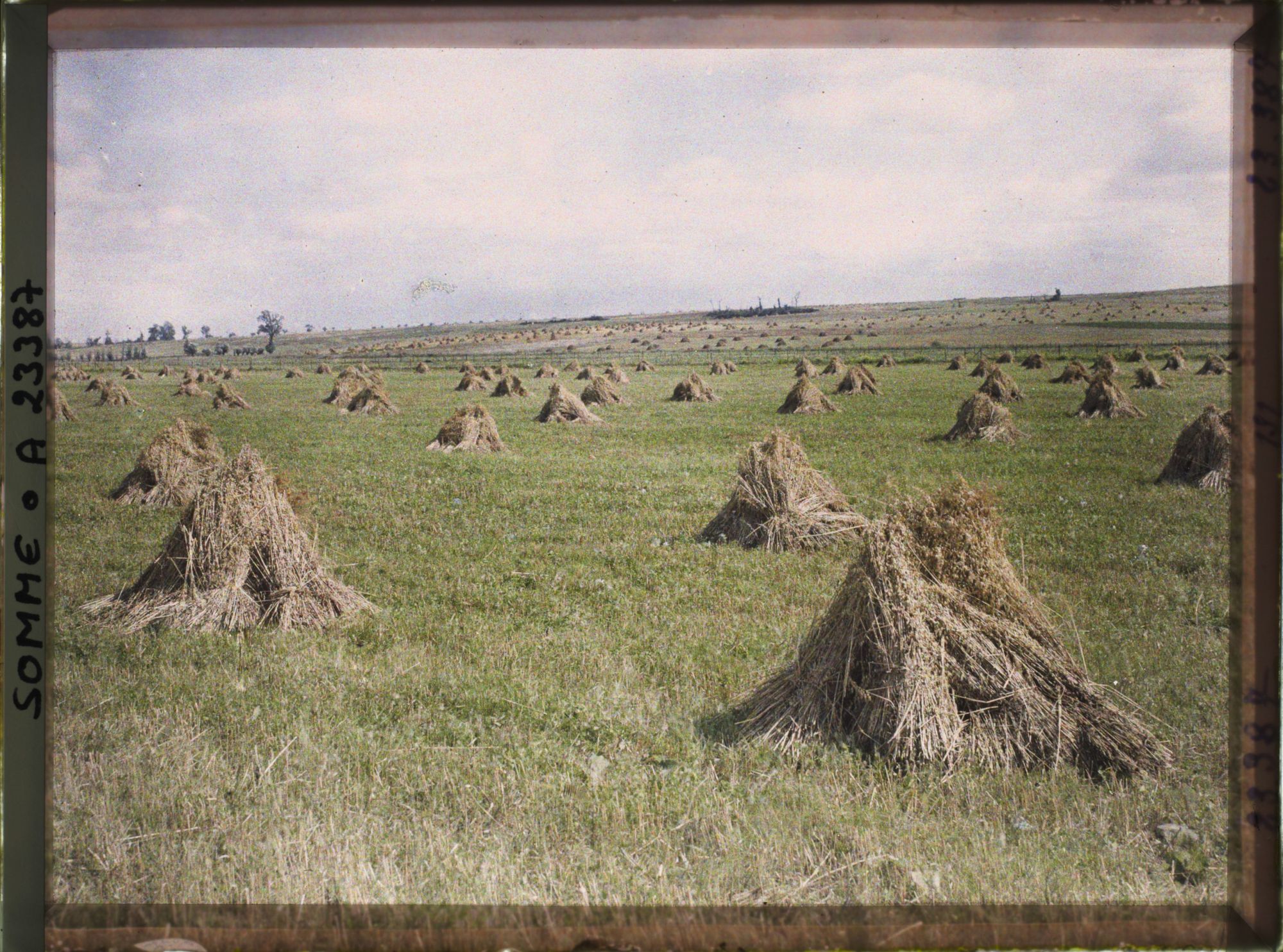 Image représentant France, Barleux, La terre à Barleux, Couverte de Champs moissonnés