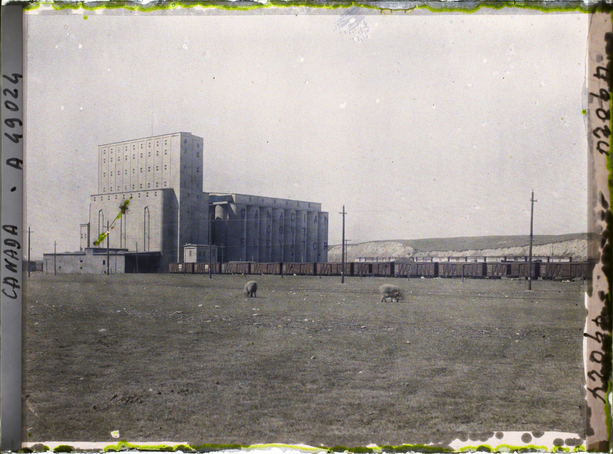 Image représentant Canada, Calgary, Elévateur du Gouvernement, Capacité : 2000 bussels
