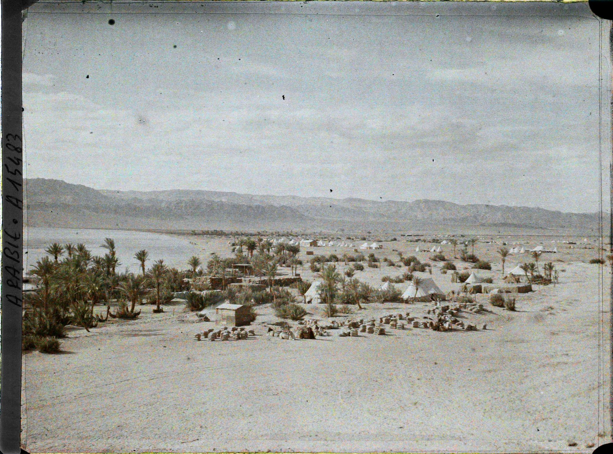Image représentant Le camp des forces anglo-arabes, au bord du golfe d'Aqaba