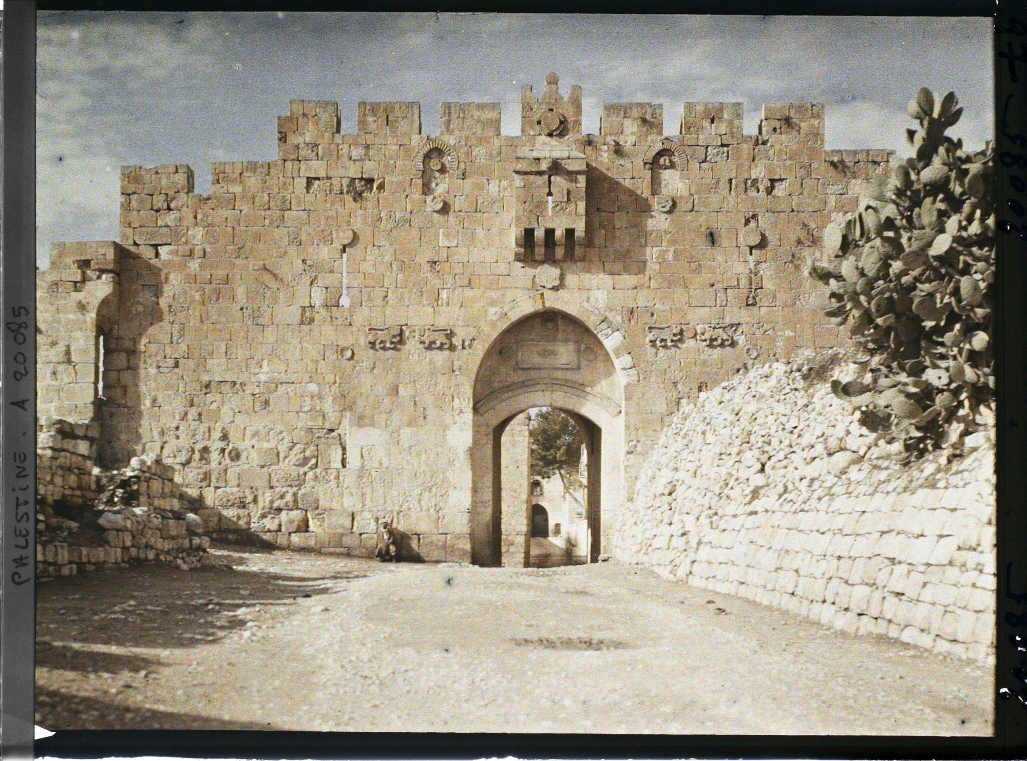 Image représentant Porte de Saint Etienne, dite Porte des Lions